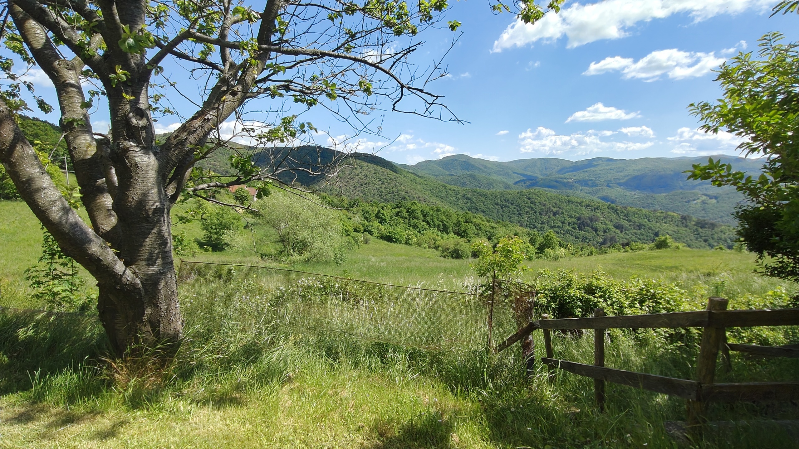 Foto annuncio 11