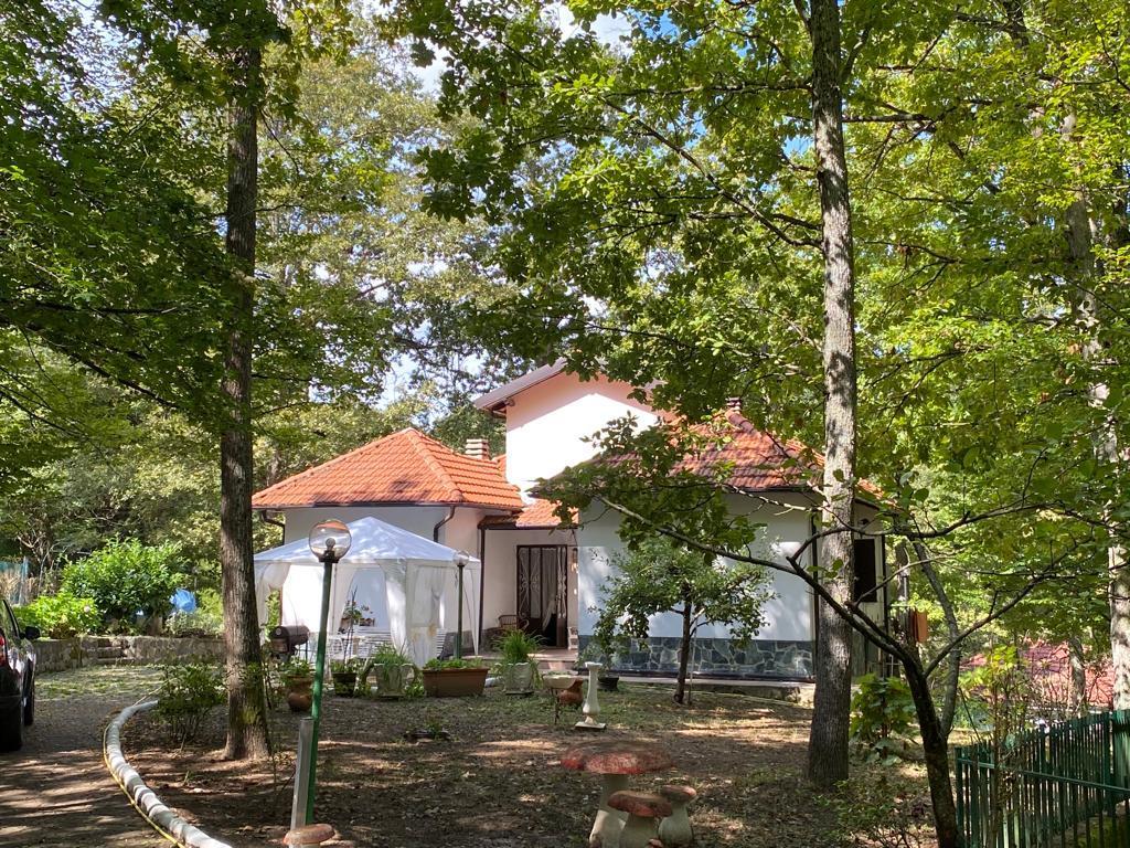 Immagine 3 di Villa in vendita  in località Vallacia 12 a Pareto