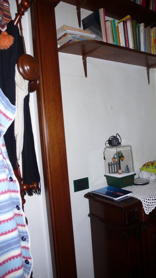 Foto annuncio 12