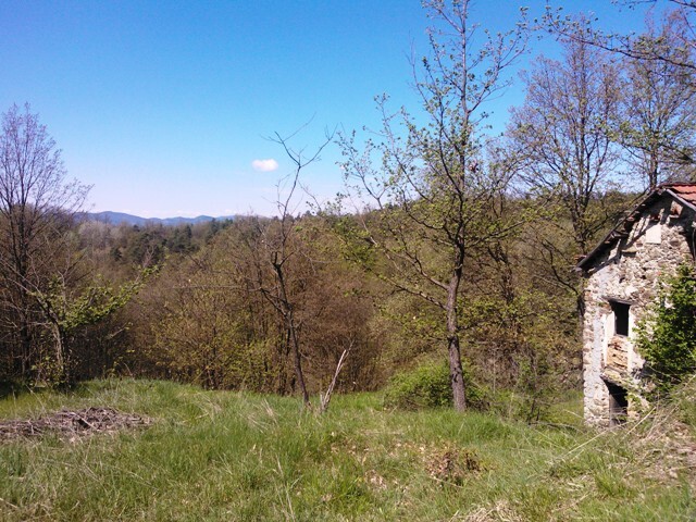Foto annuncio 8