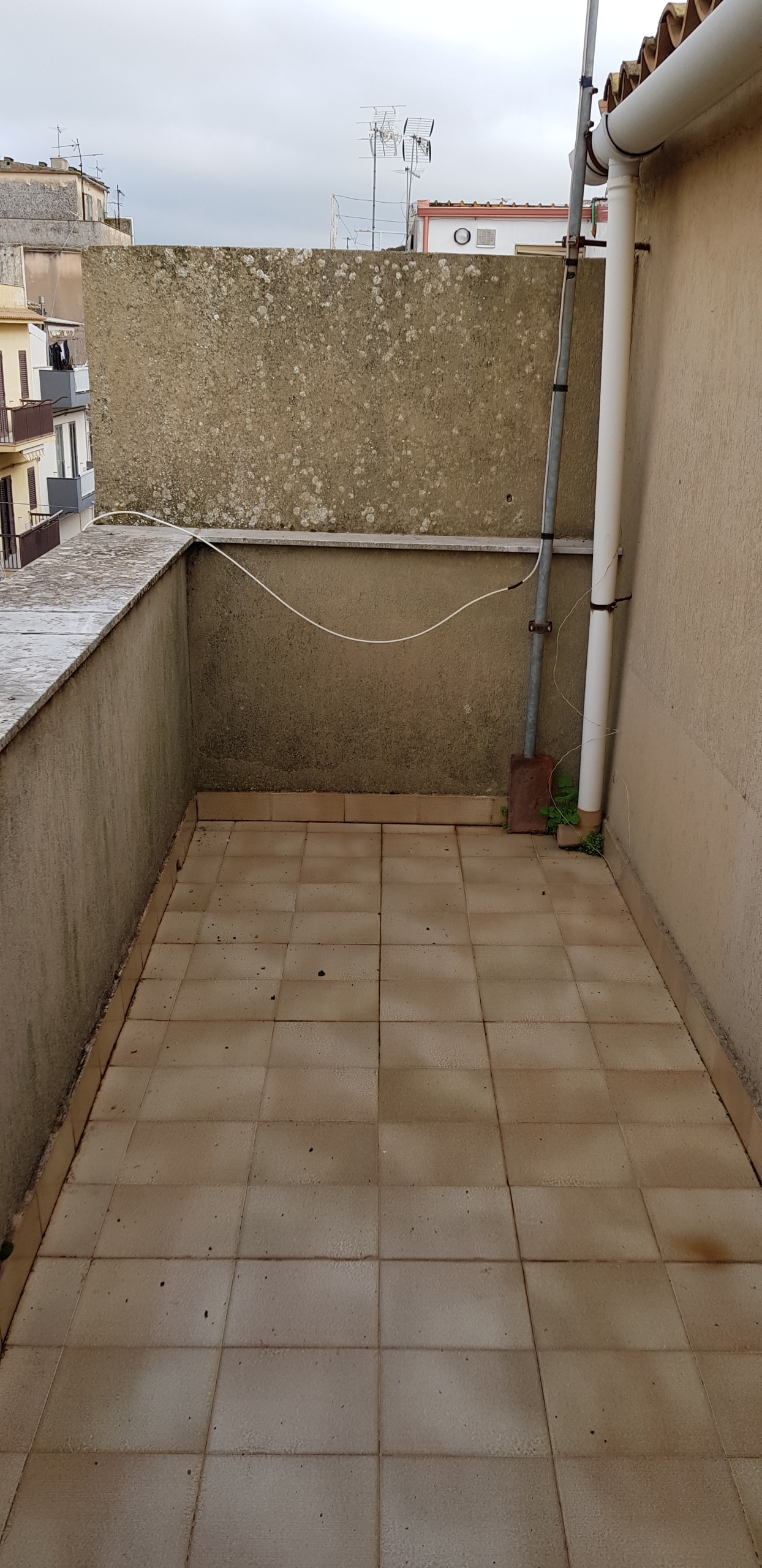 Foto annuncio 18