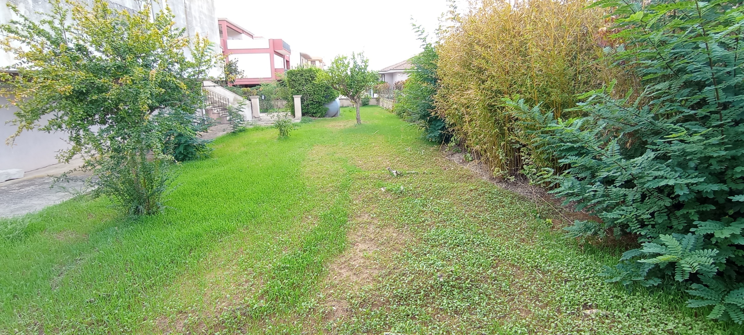 Foto annuncio 4