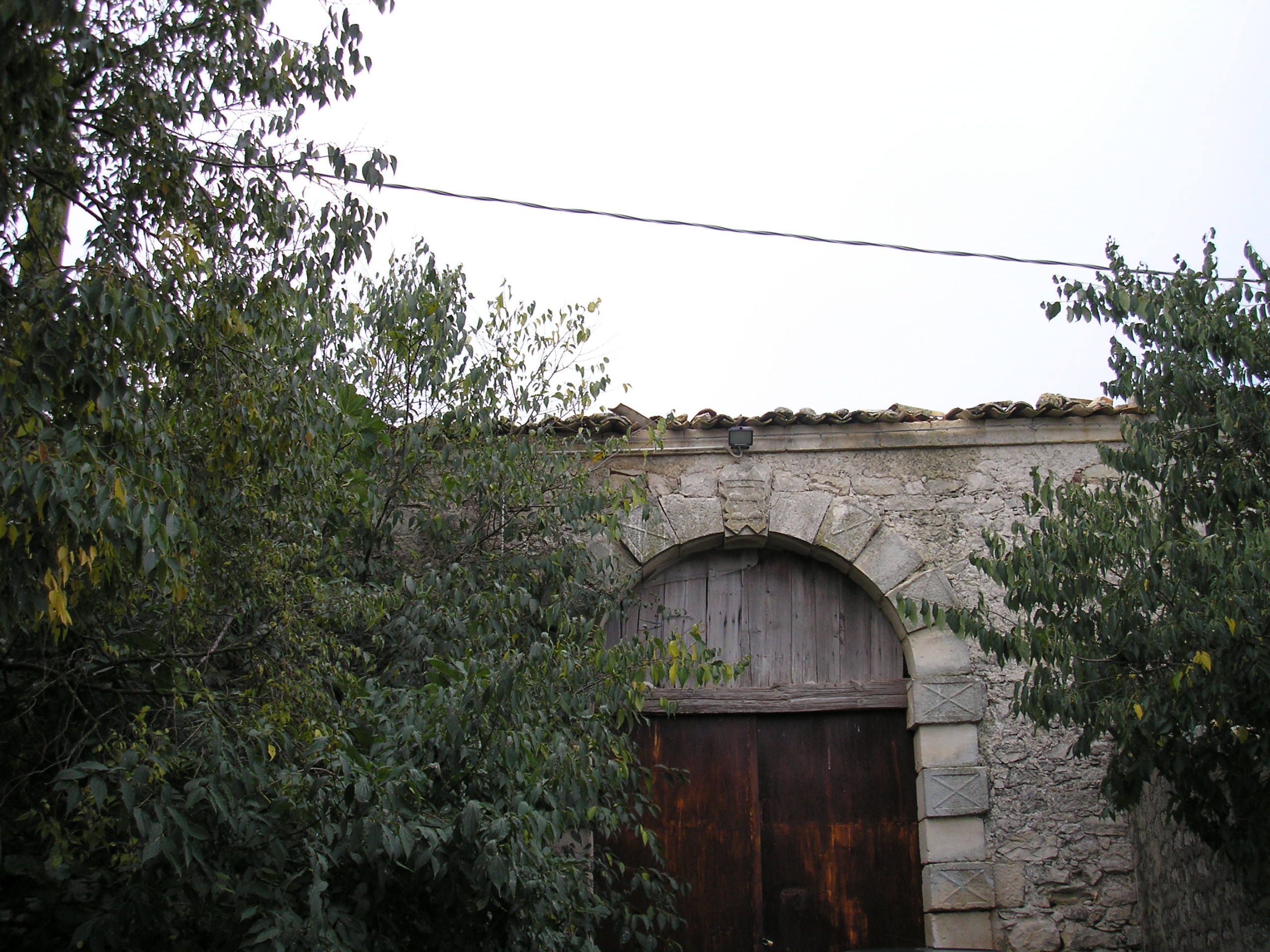 Foto annuncio 5