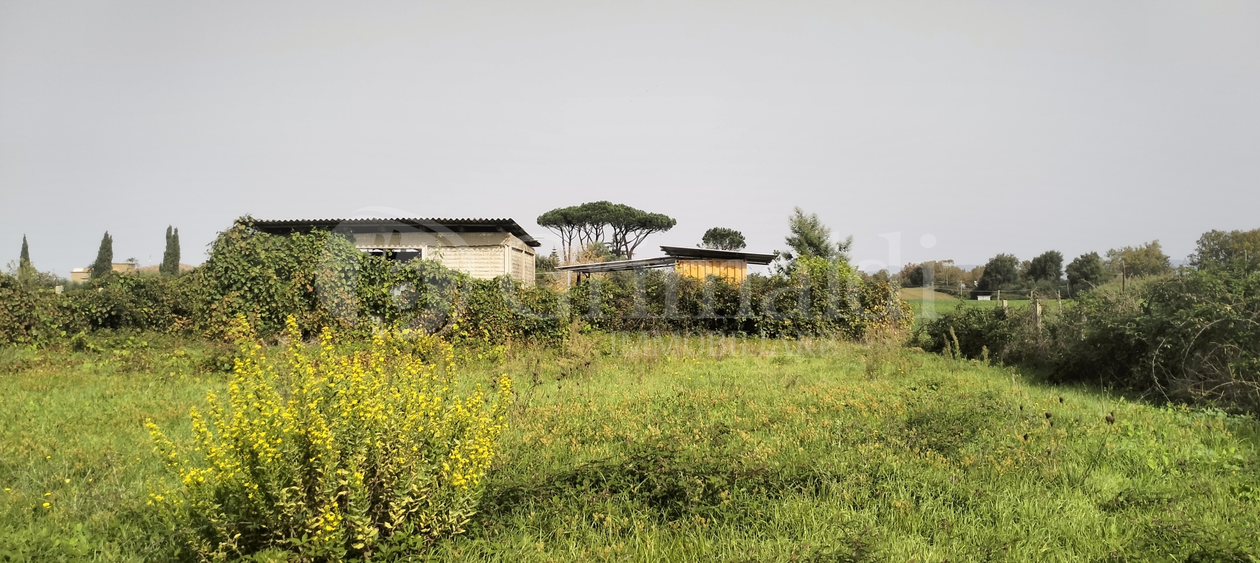 Immagine 4 di Terreno agricolo in vendita  in Via Lago di Sirino a Nettuno