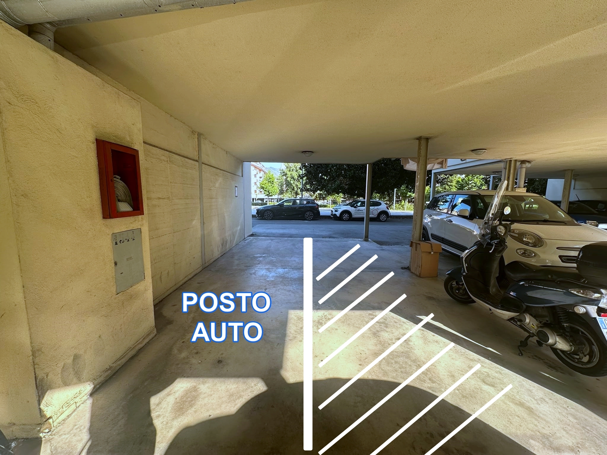 Foto annuncio 24