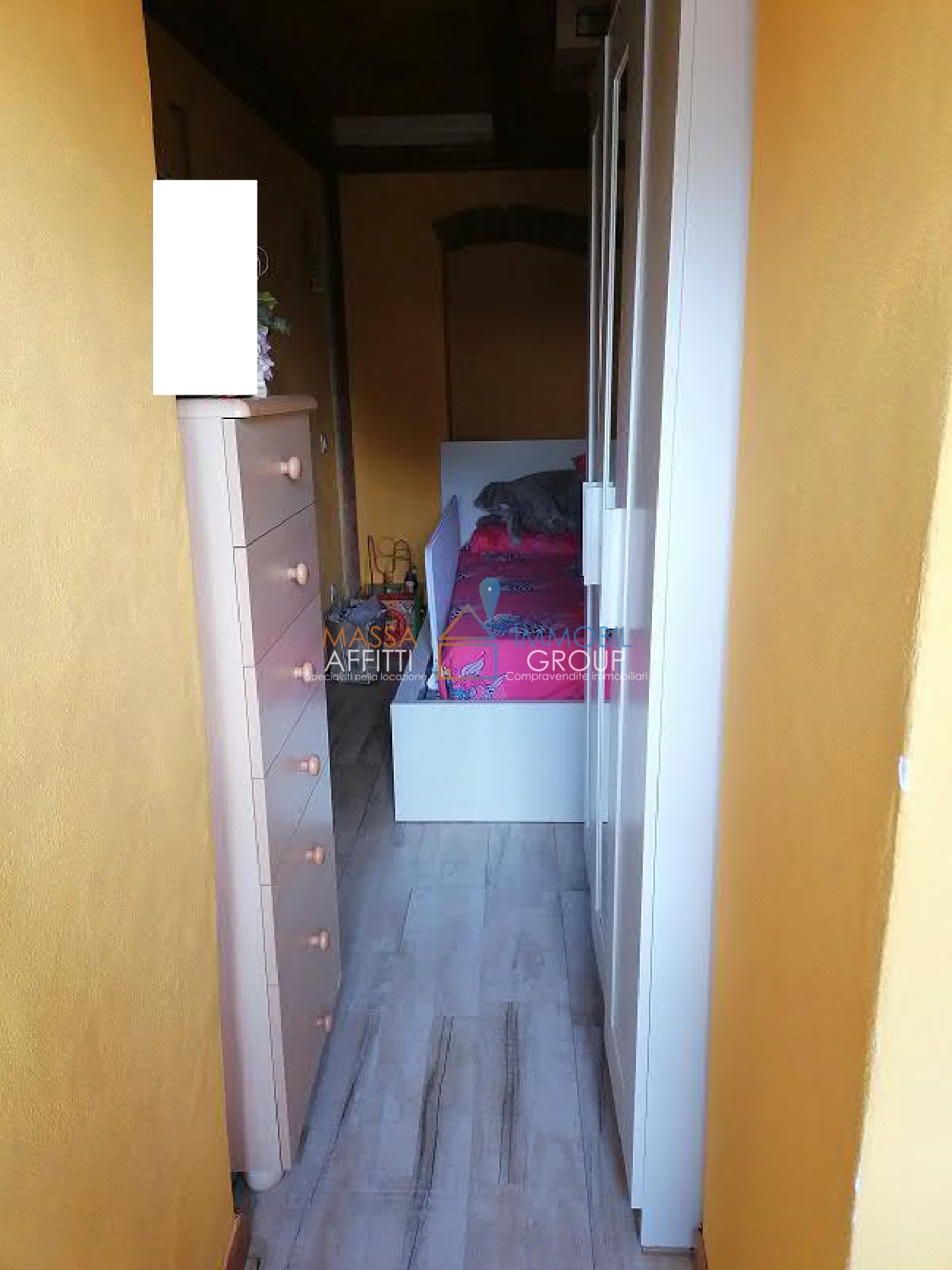 Foto annuncio 11