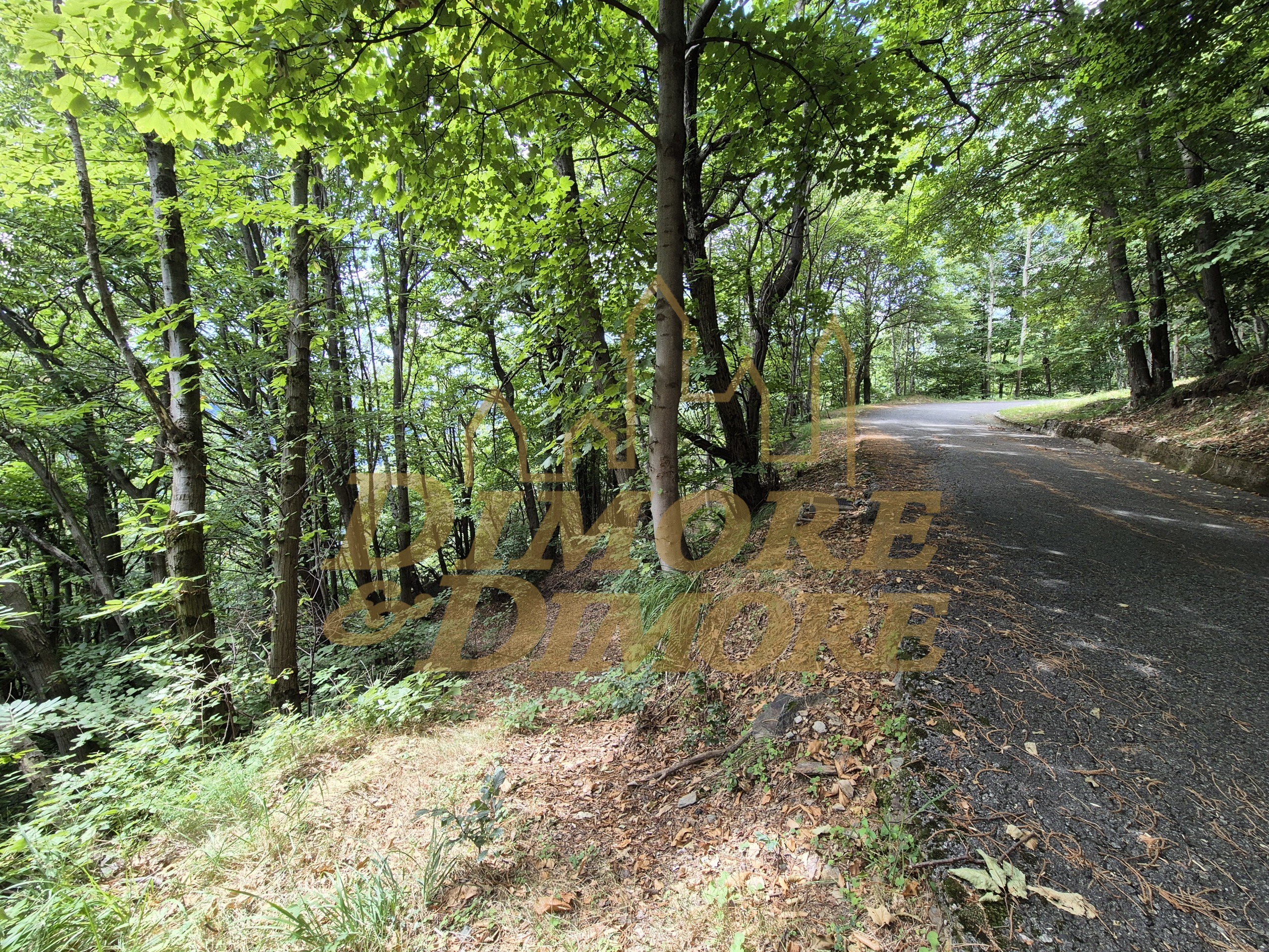 Immagine 4 di Casa indipendente in vendita  in via per Cambiesso a Intragna