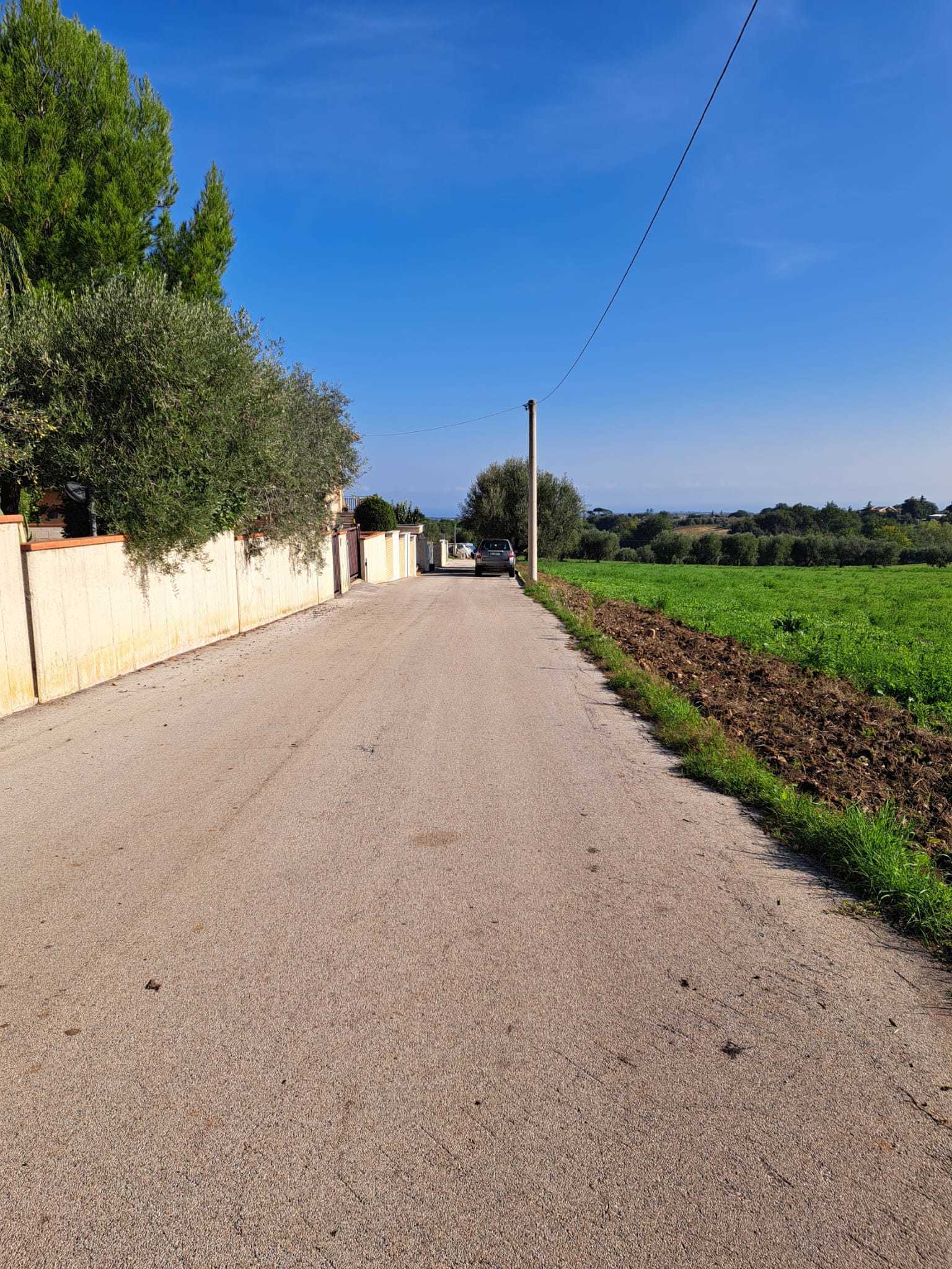 Foto annuncio 7