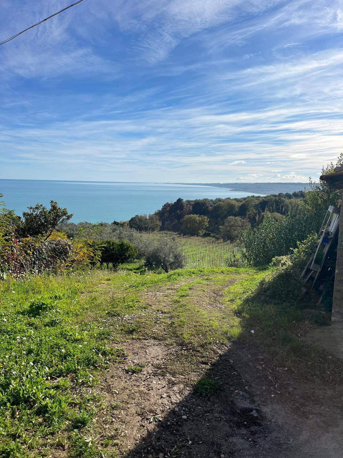 Immagine 19 di Trilocale in affitto  in Contrada Piane Favaro 190 a Rocca San Giovanni