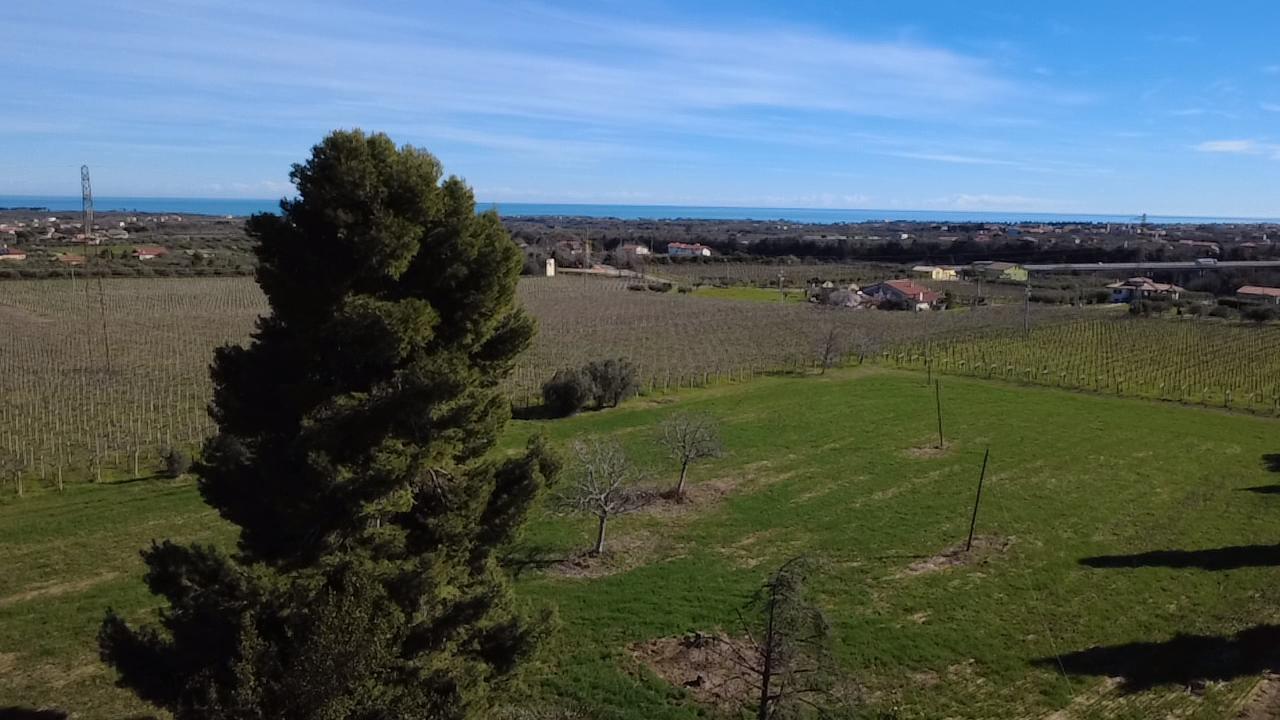 Foto annuncio 33
