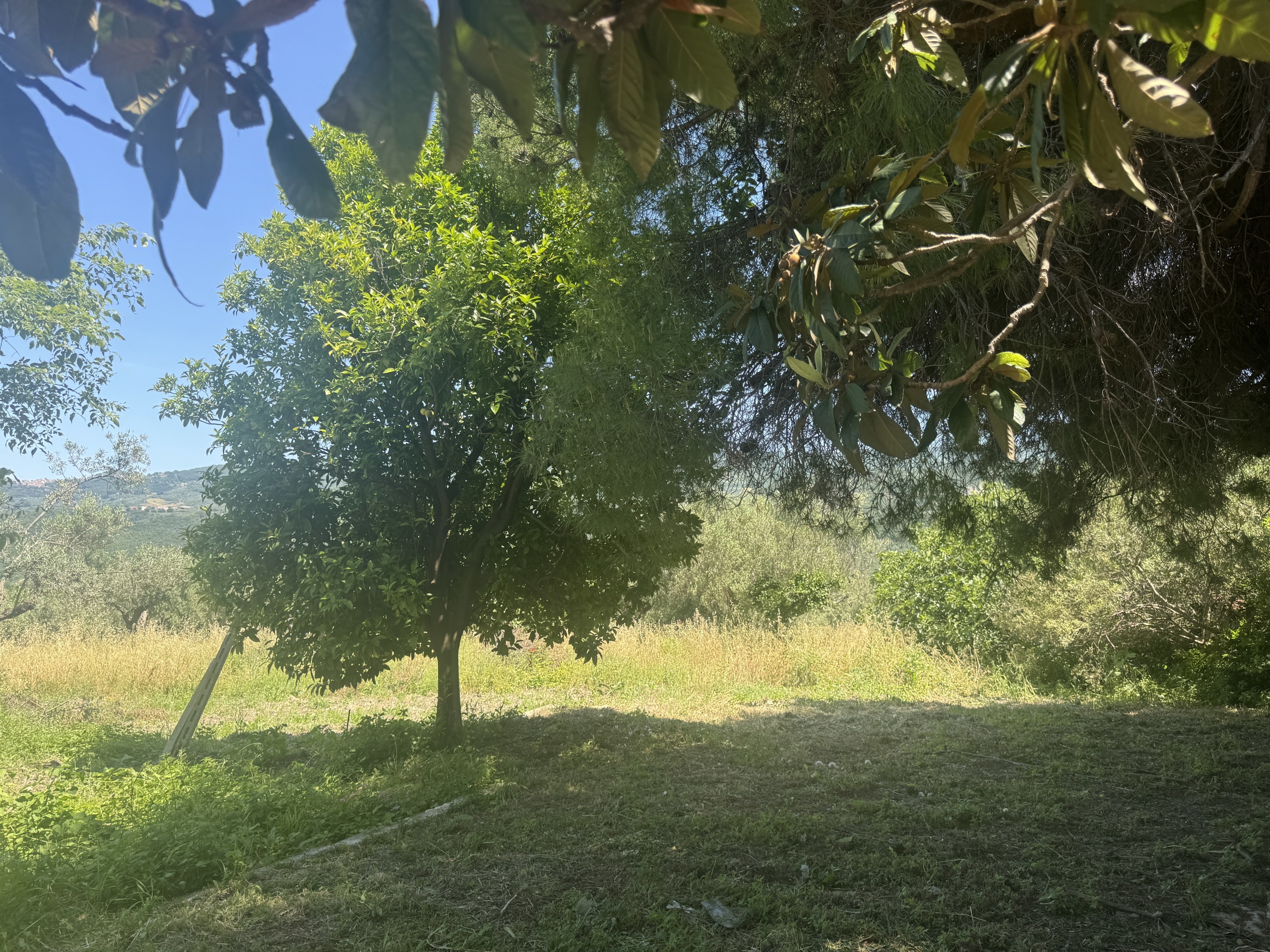 Immagine 13 di Casa semindipendente in vendita  in Roccascalegna a Roccascalegna