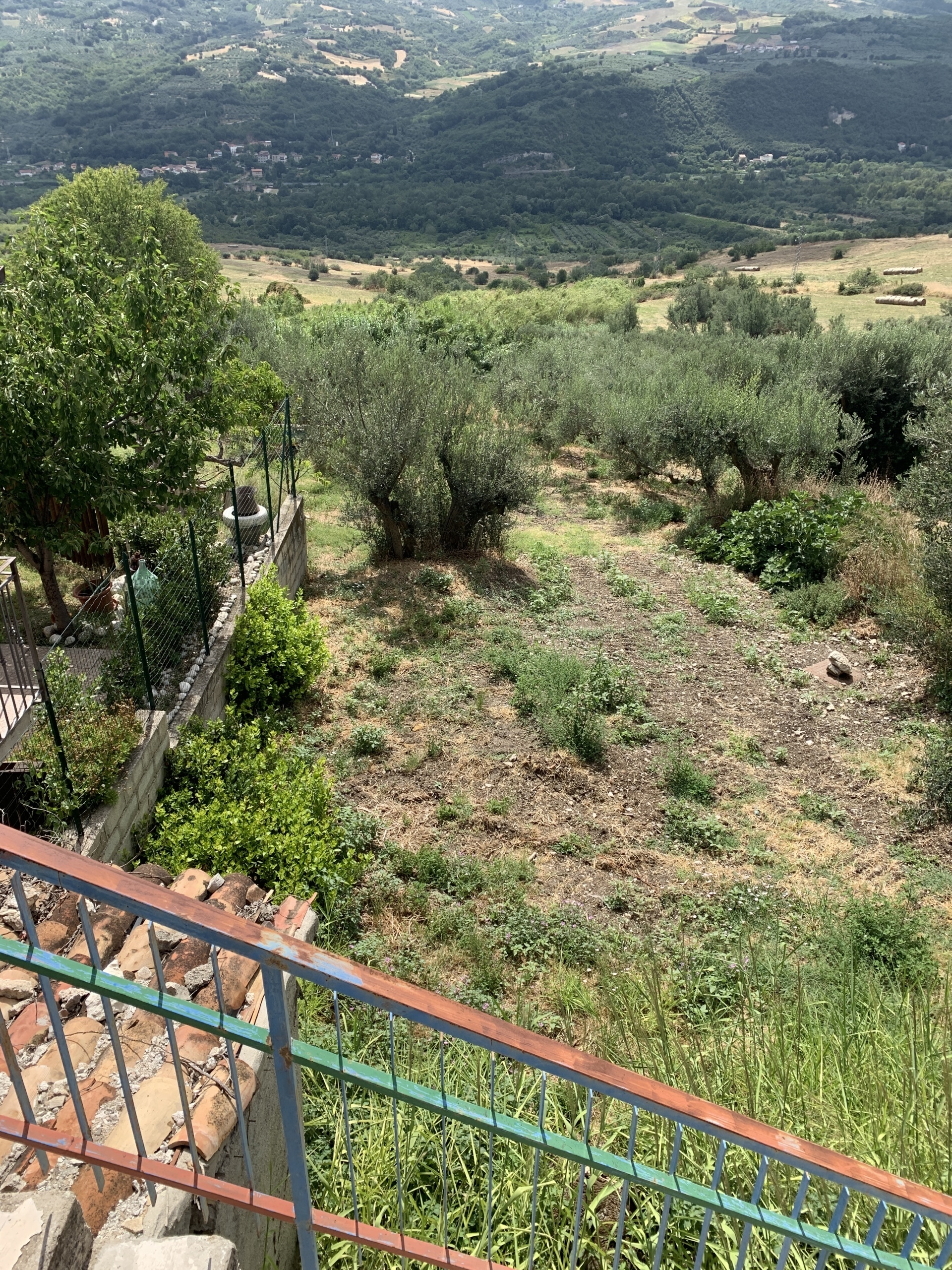 Immagine 21 di Casa indipendente in vendita  a Altino