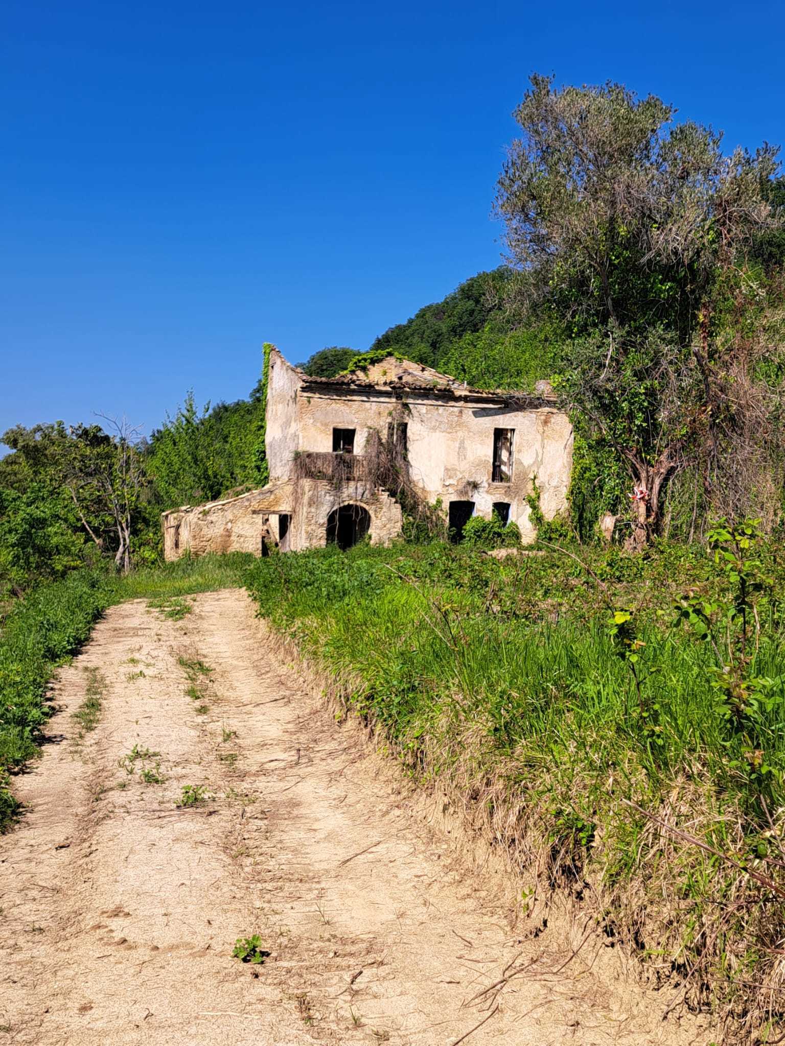 Foto annuncio 1