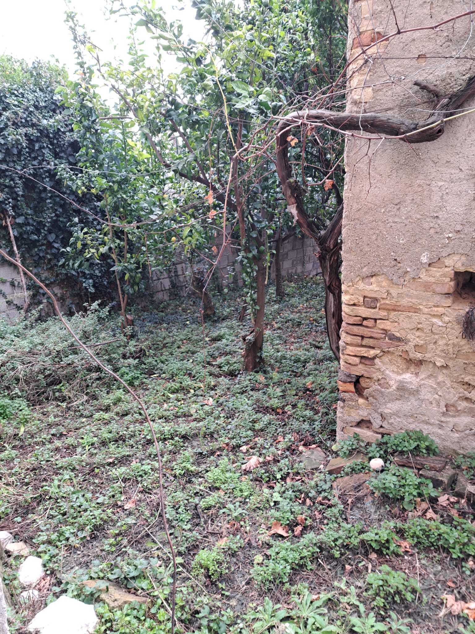 Immagine 19 di Terratetto in vendita  in Vico Municipio 1 a Santa Maria Imbaro