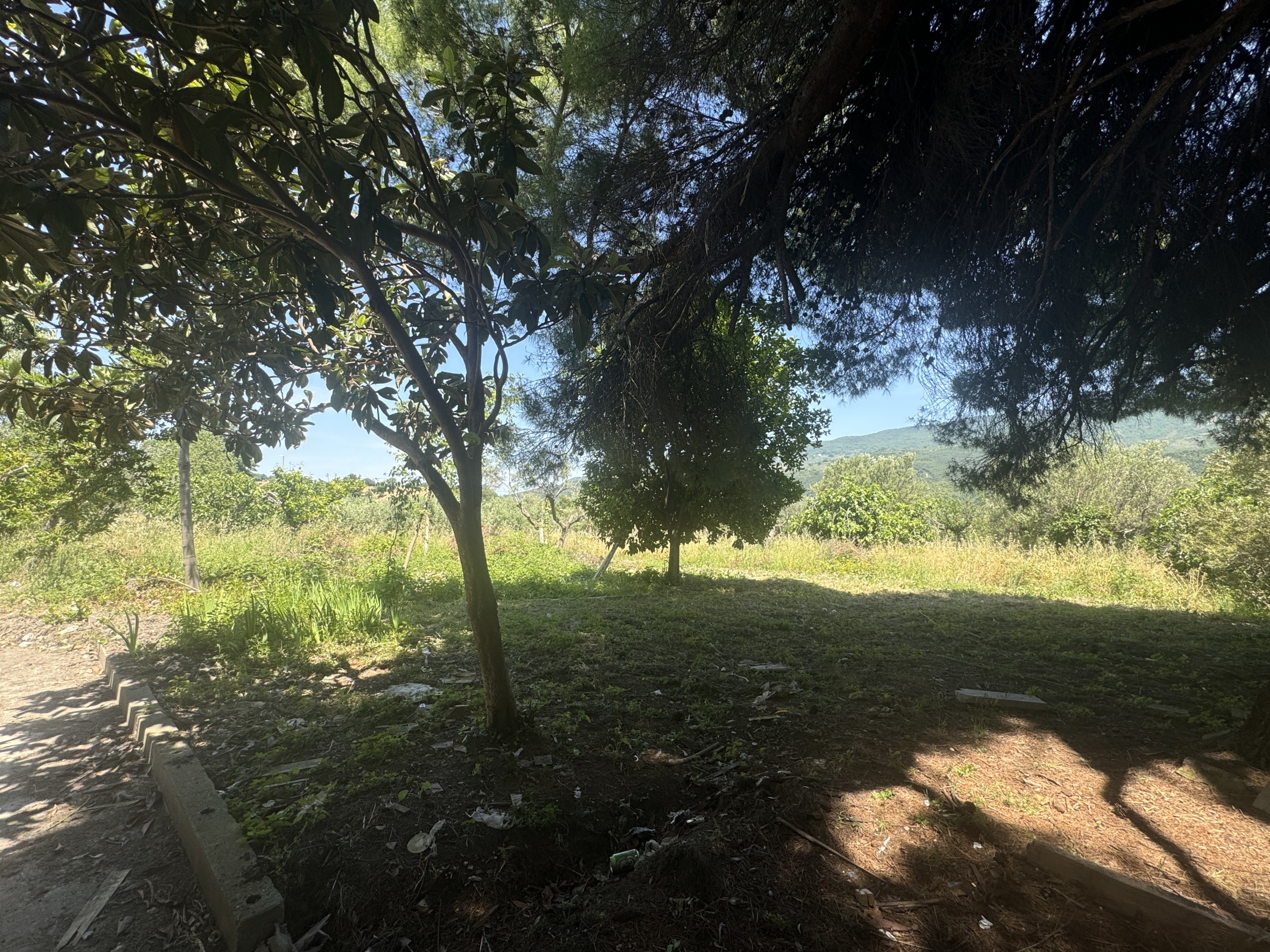 Immagine 36 di Casa semindipendente in vendita  in Roccascalegna a Roccascalegna