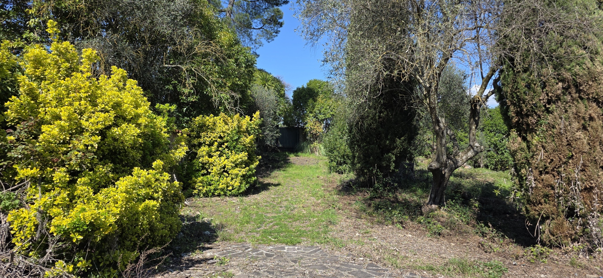 Foto annuncio 8