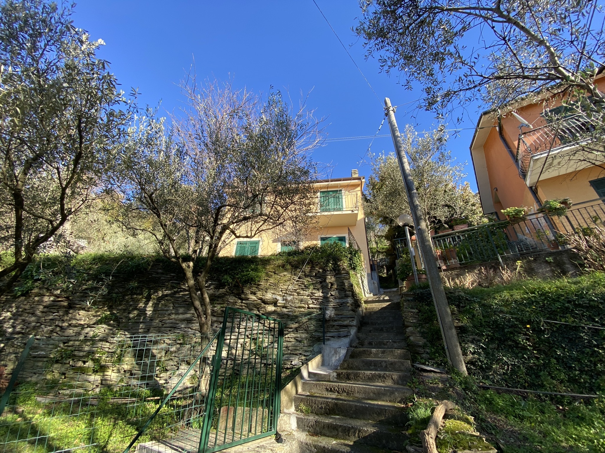 Foto annuncio 43