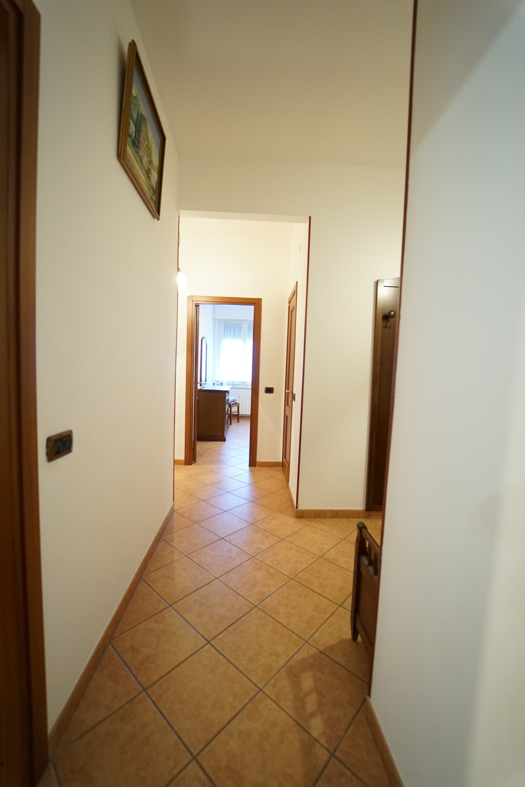 Foto annuncio 15
