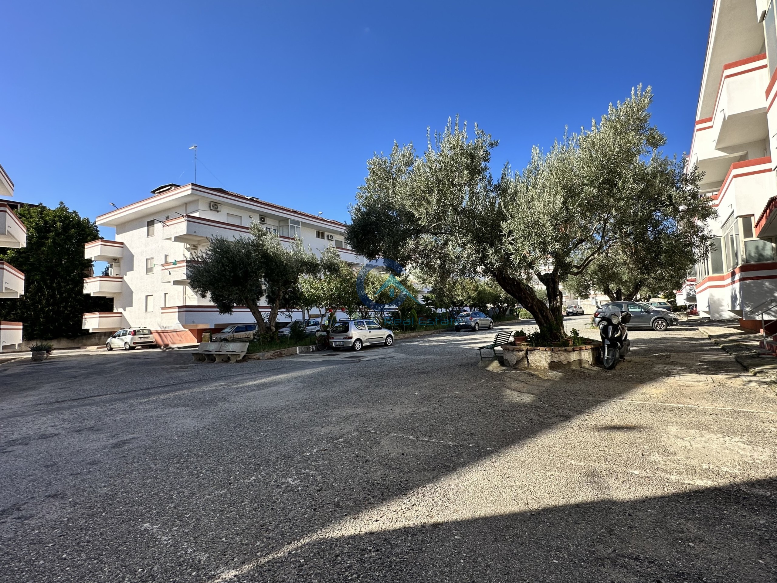 Immagine 17 di Trilocale in affitto  a Catanzaro