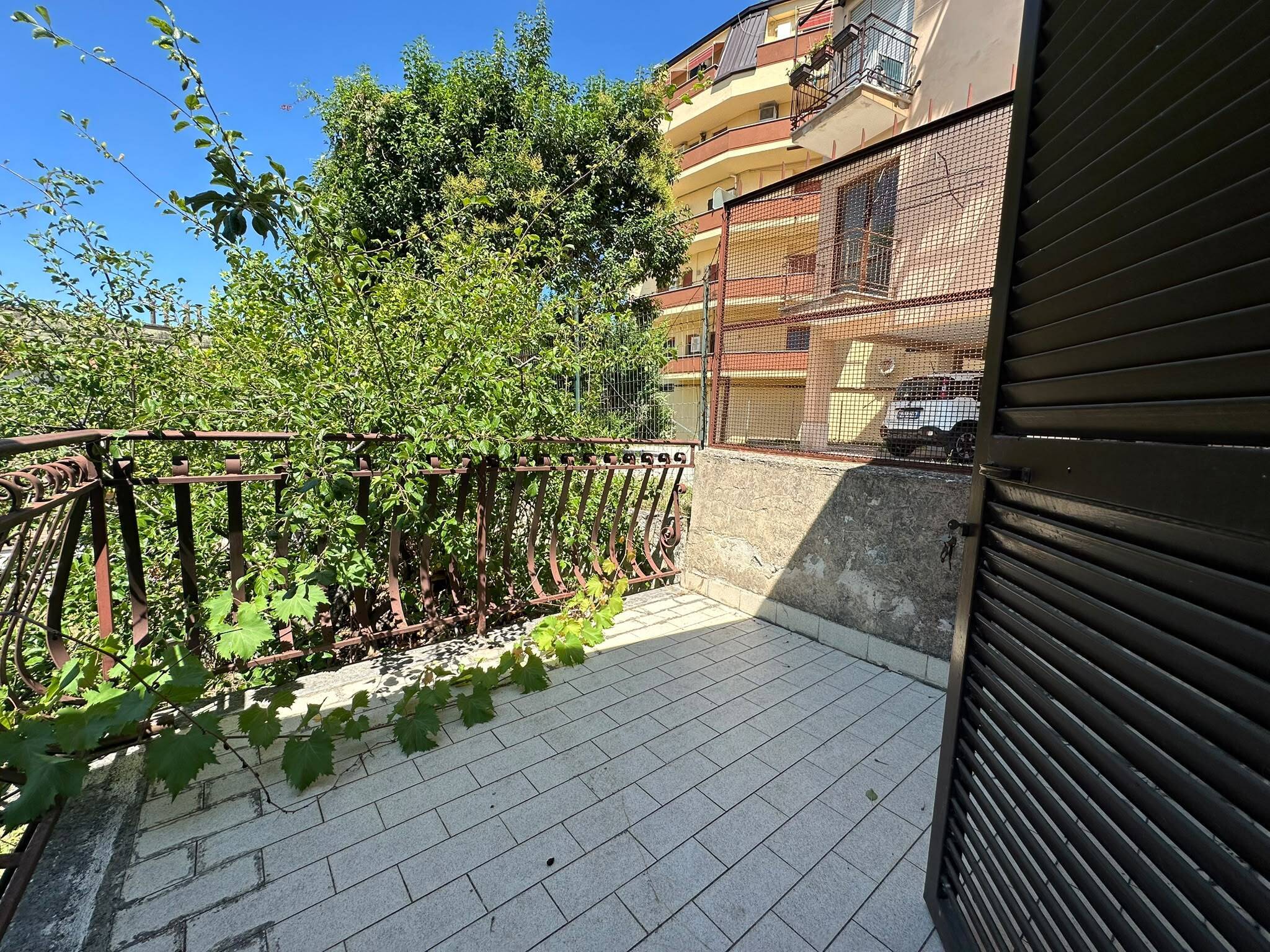 Foto annuncio 8