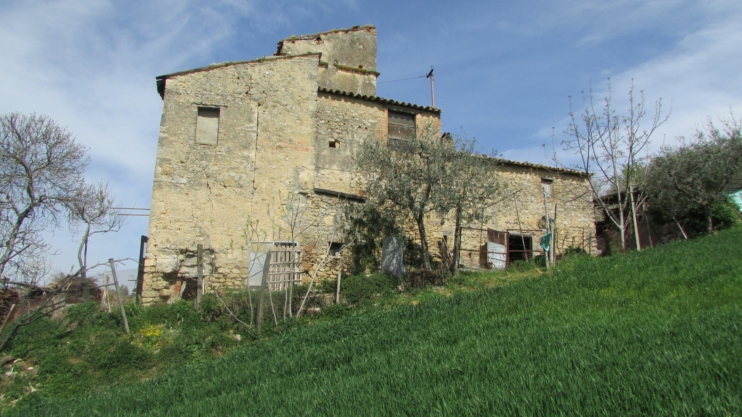 Foto annuncio 10