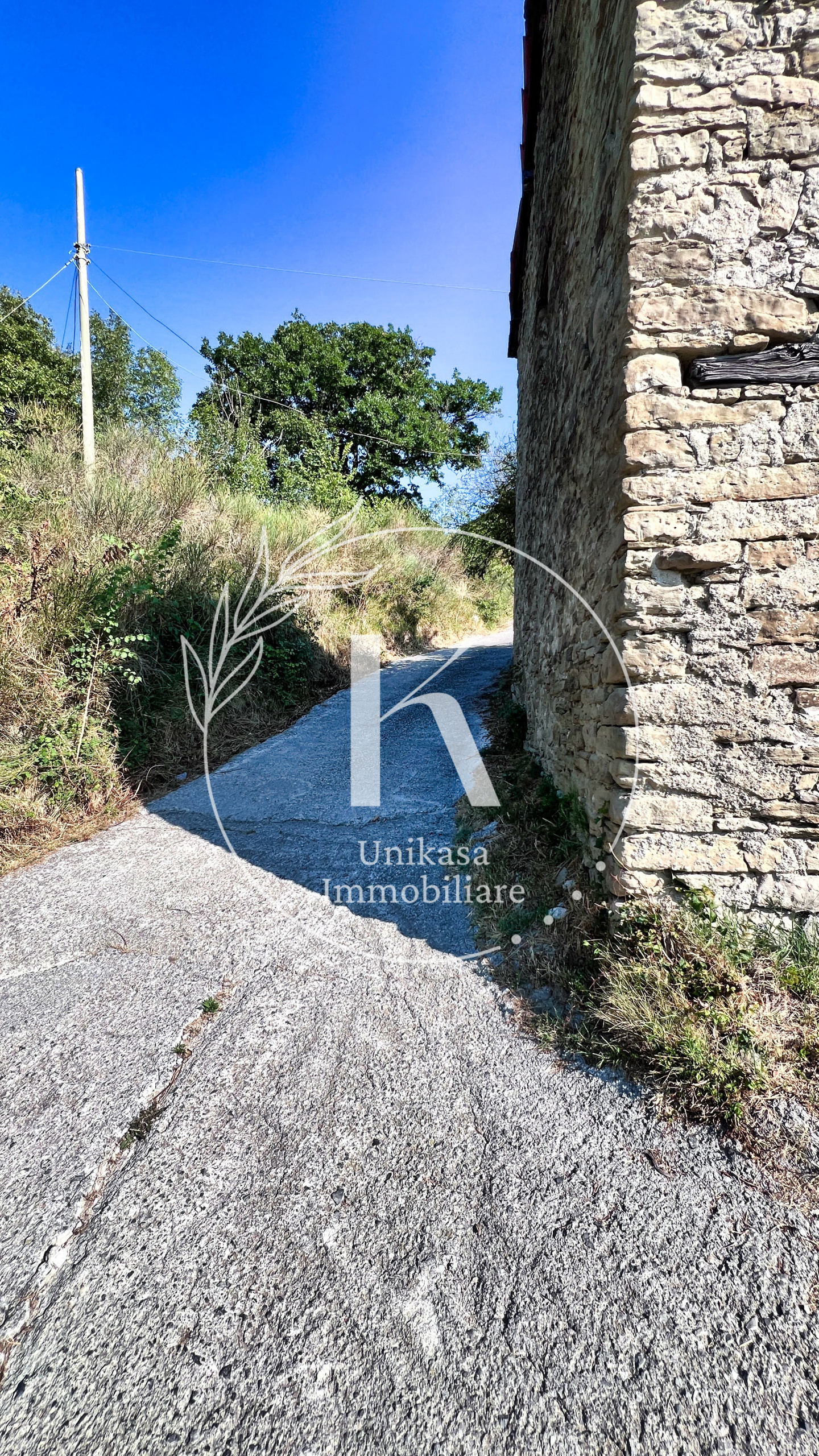Foto annuncio 28