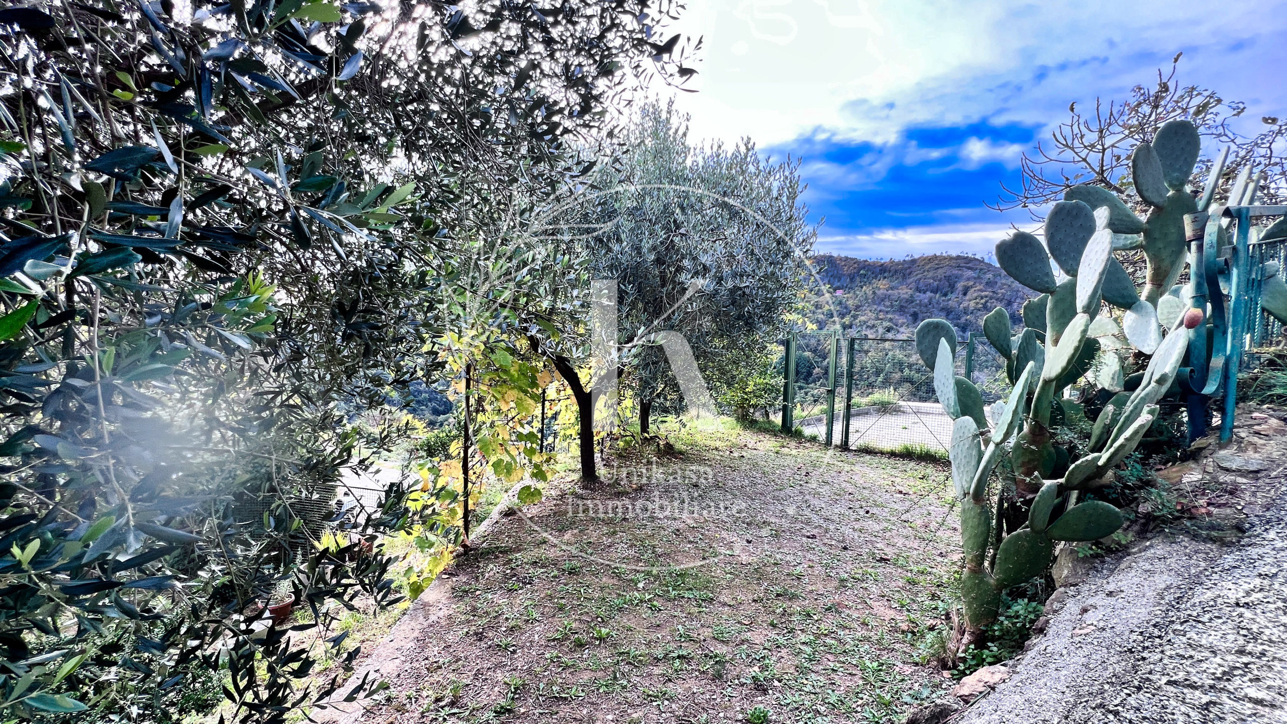 Foto annuncio 26