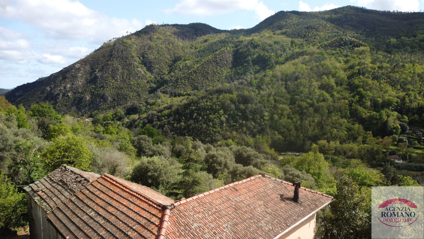 Foto annuncio 6