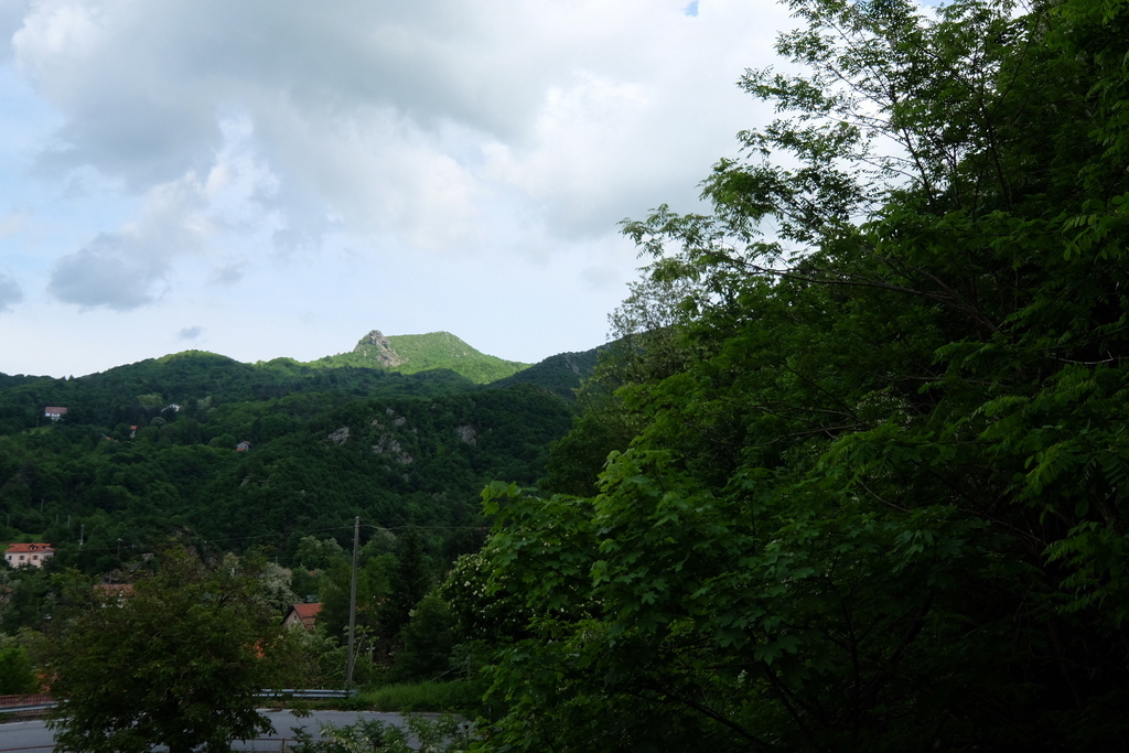 Foto annuncio 5