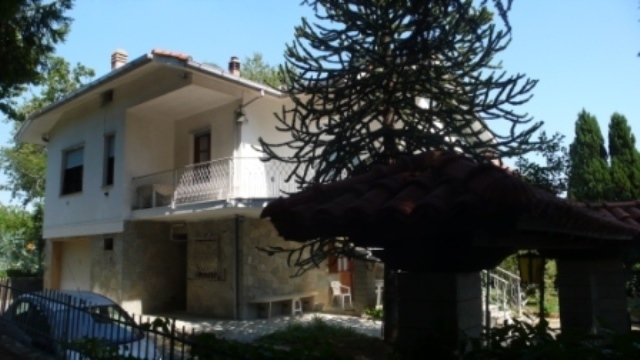 Foto annuncio 24