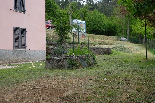 Foto annuncio 12