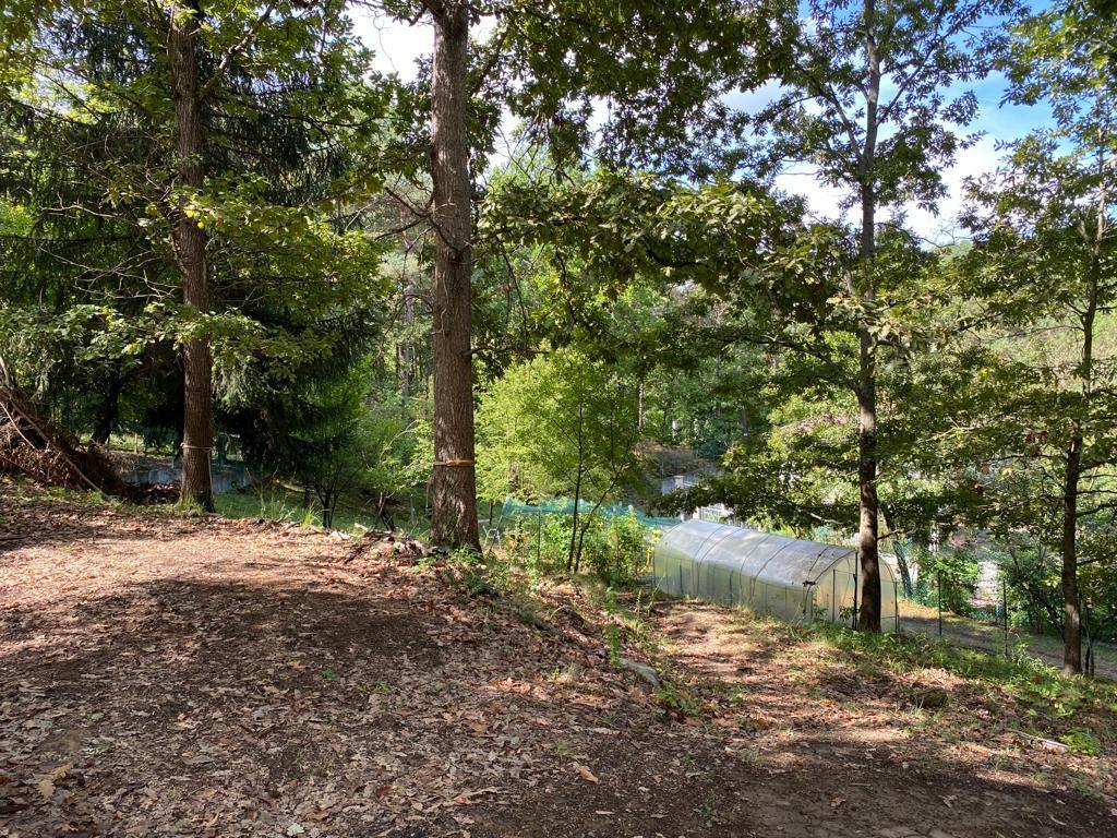 Immagine 13 di Villa in vendita  in località Vallacia 12 a Pareto