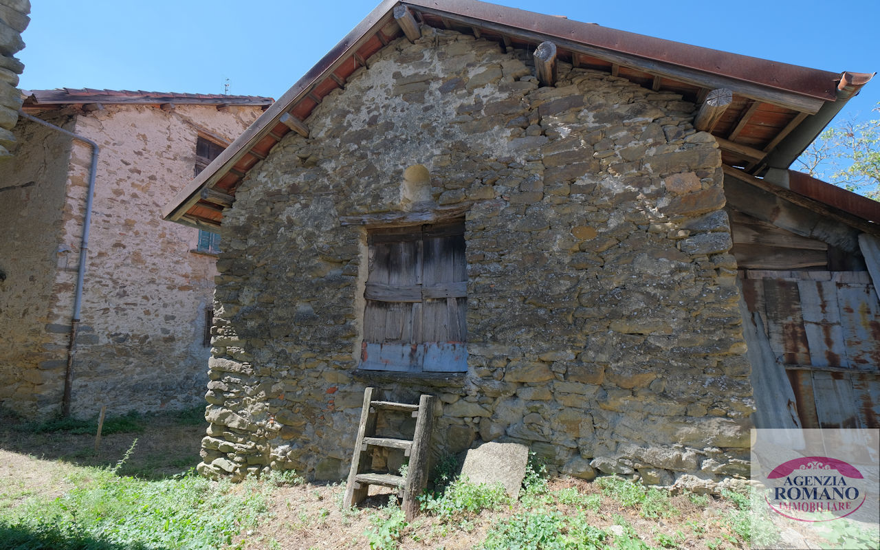 Foto annuncio 6