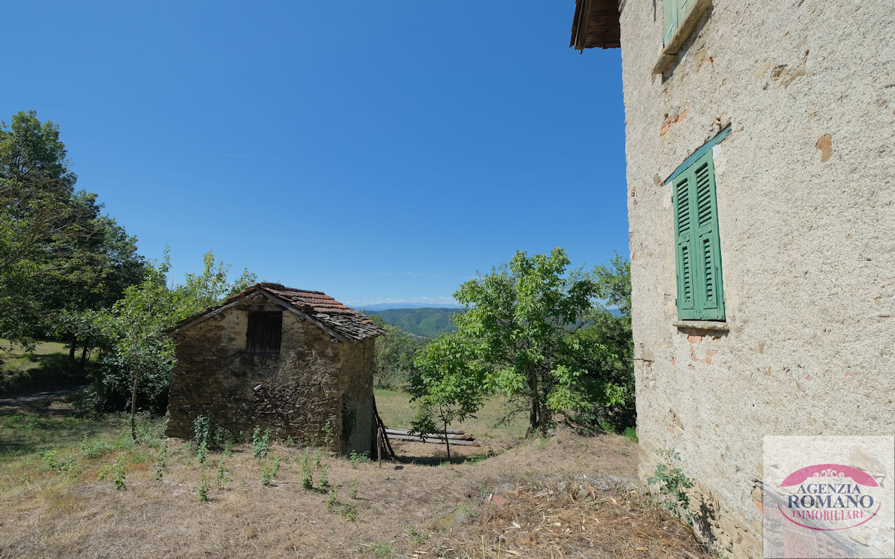 Foto annuncio 8