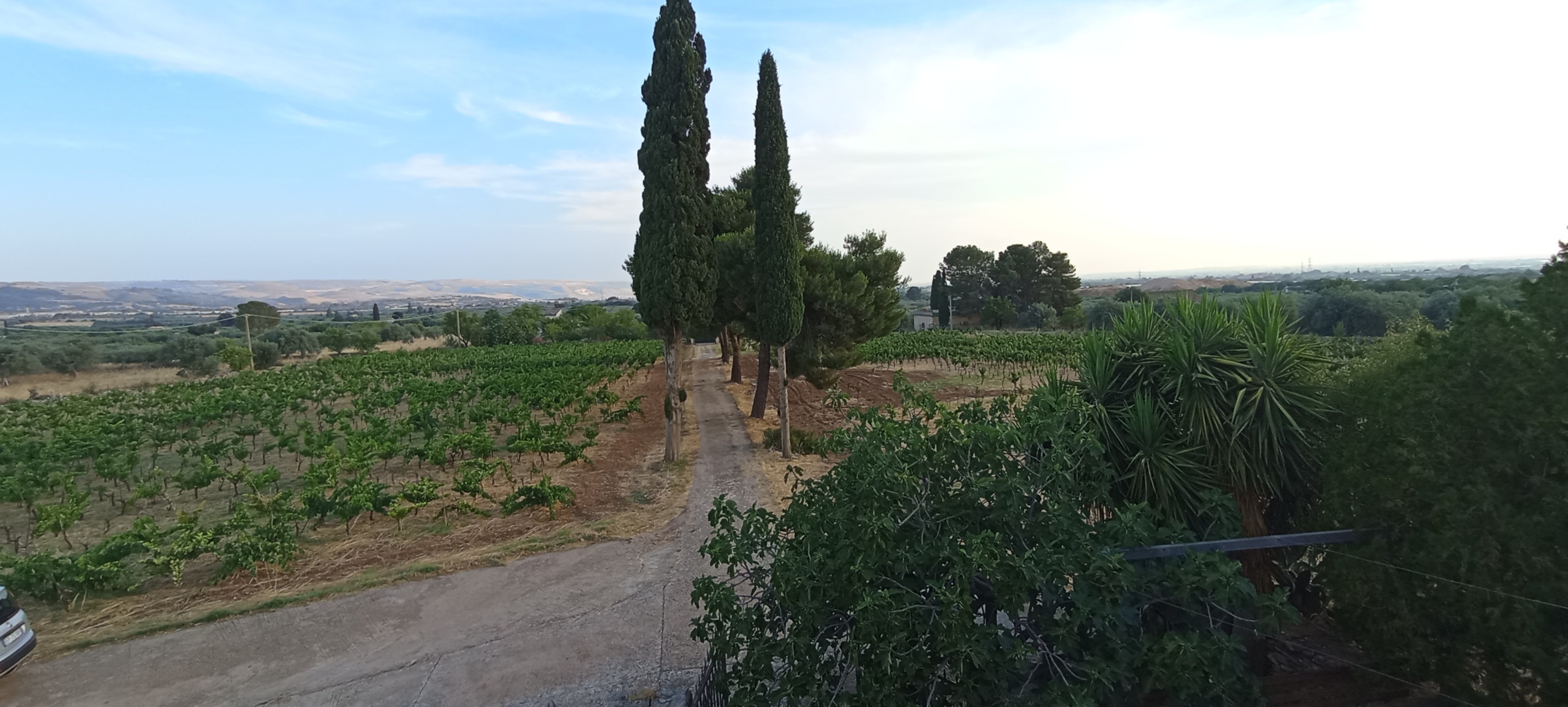 Foto annuncio 7