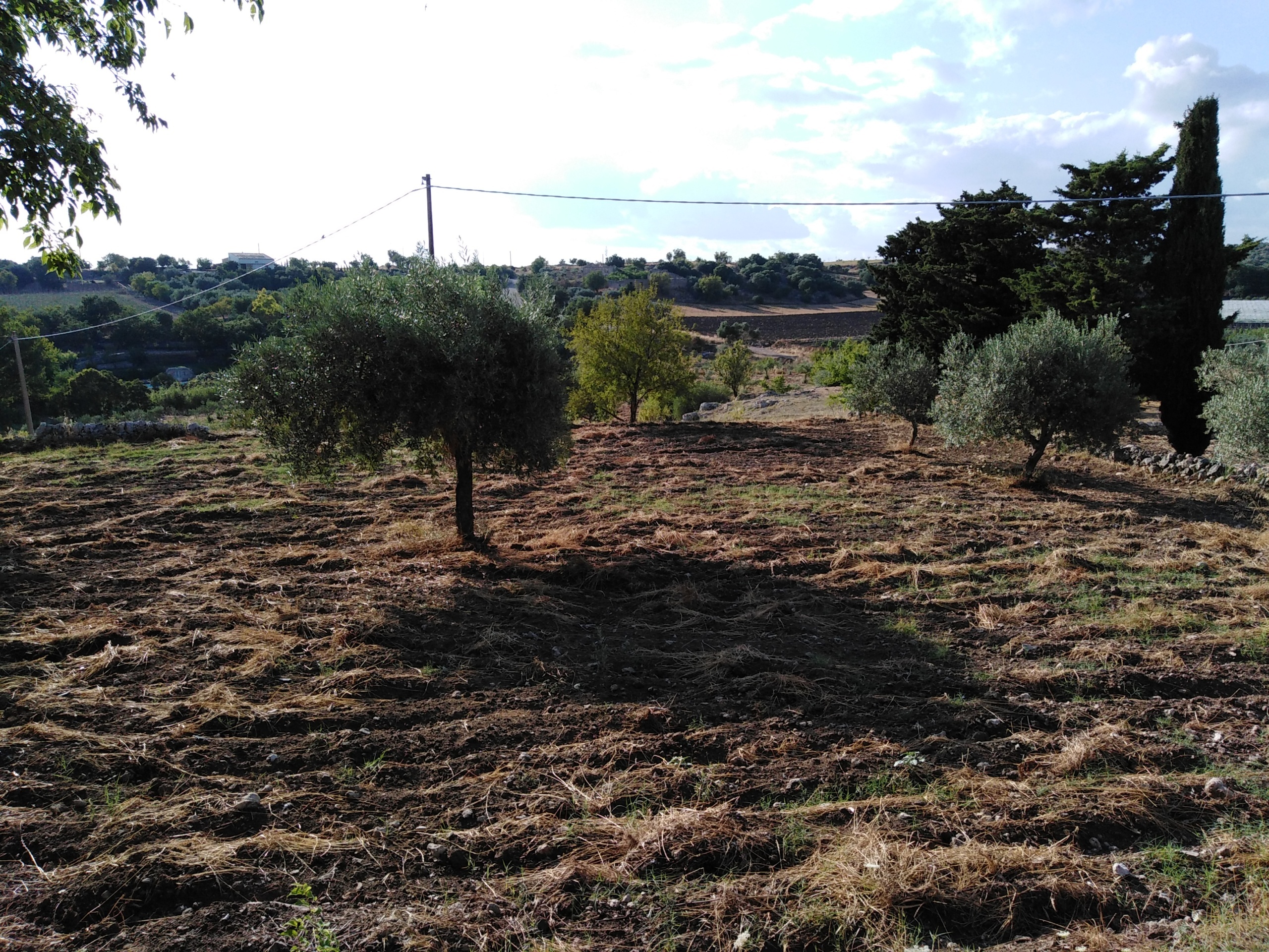 Immagine 23 di Villa in vendita  a Chiaramonte Gulfi