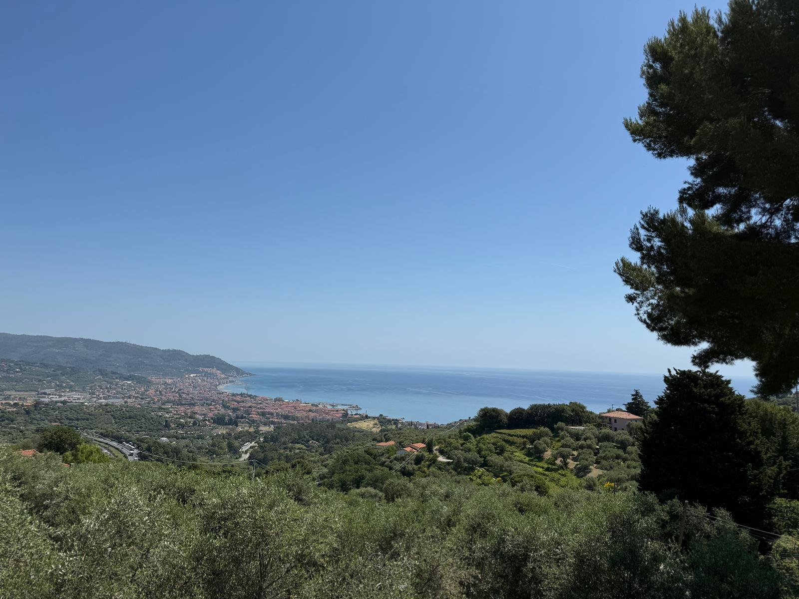 Foto annuncio 9