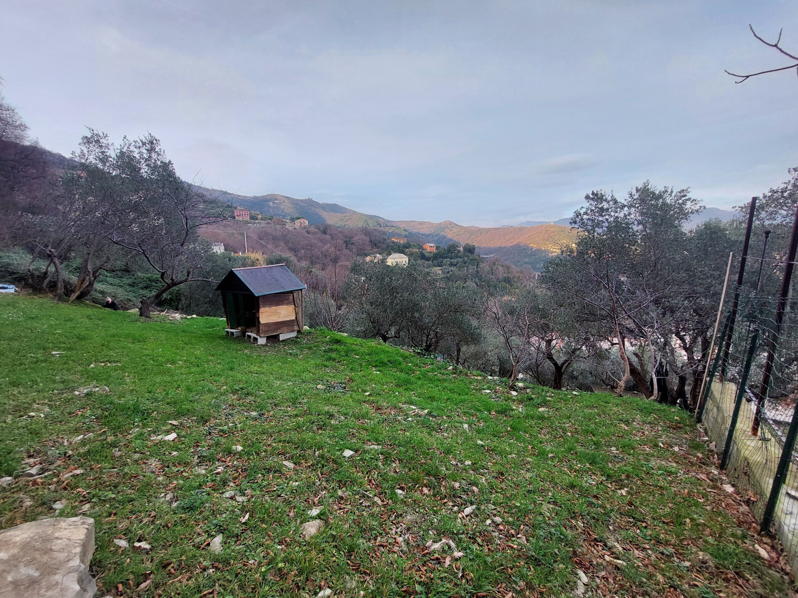 Foto annuncio 34