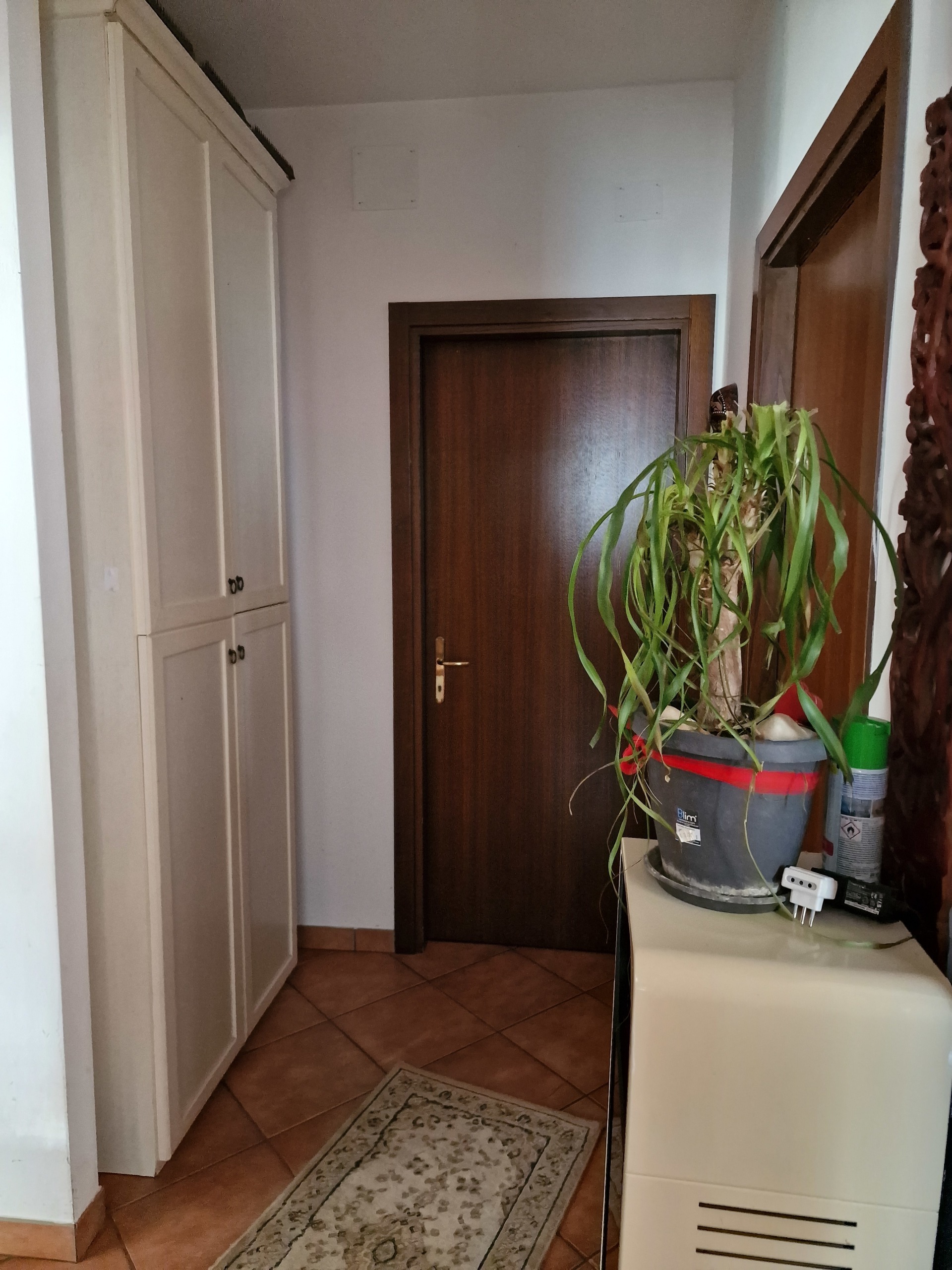 Immagine 16 di Casa bifamiliare in vendita  in Via Milano a Castiglione Del Lago