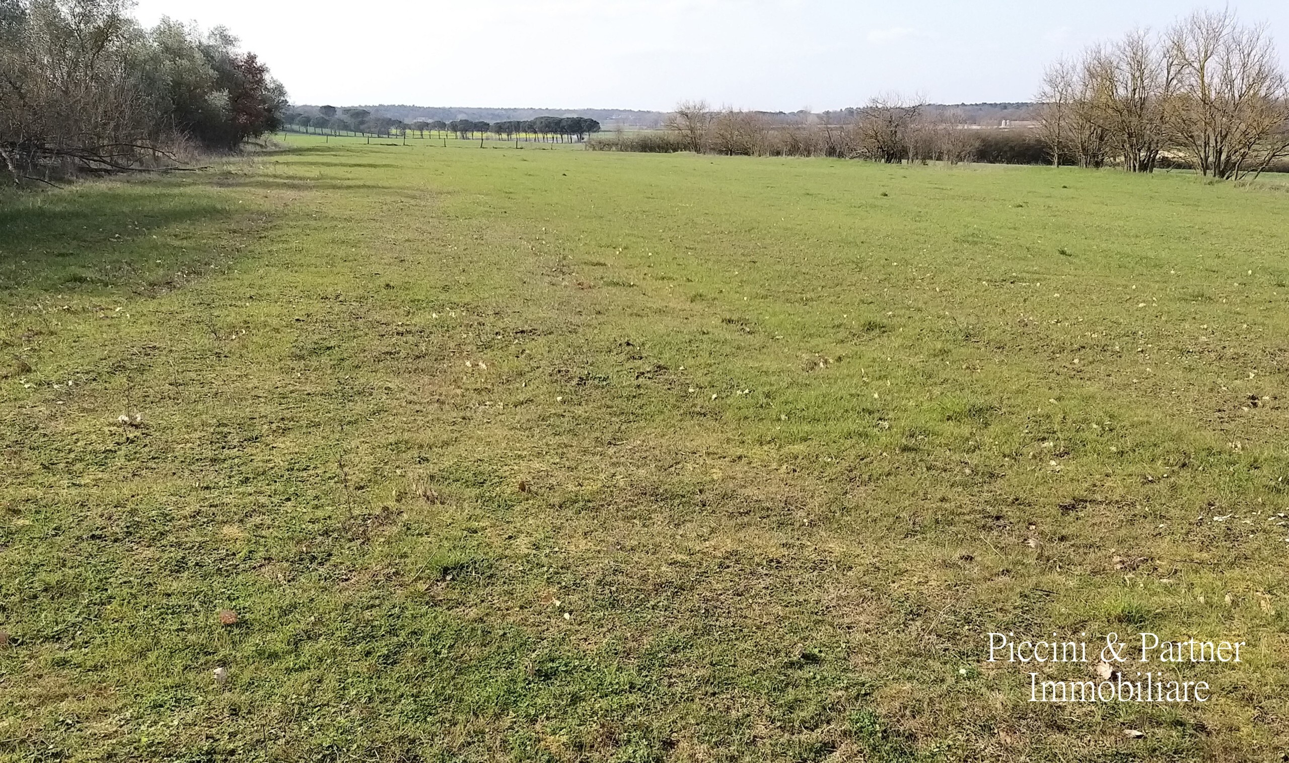 Immagine 11 di Rustico / casale in vendita  in Località Bertoni a Castiglione Del Lago