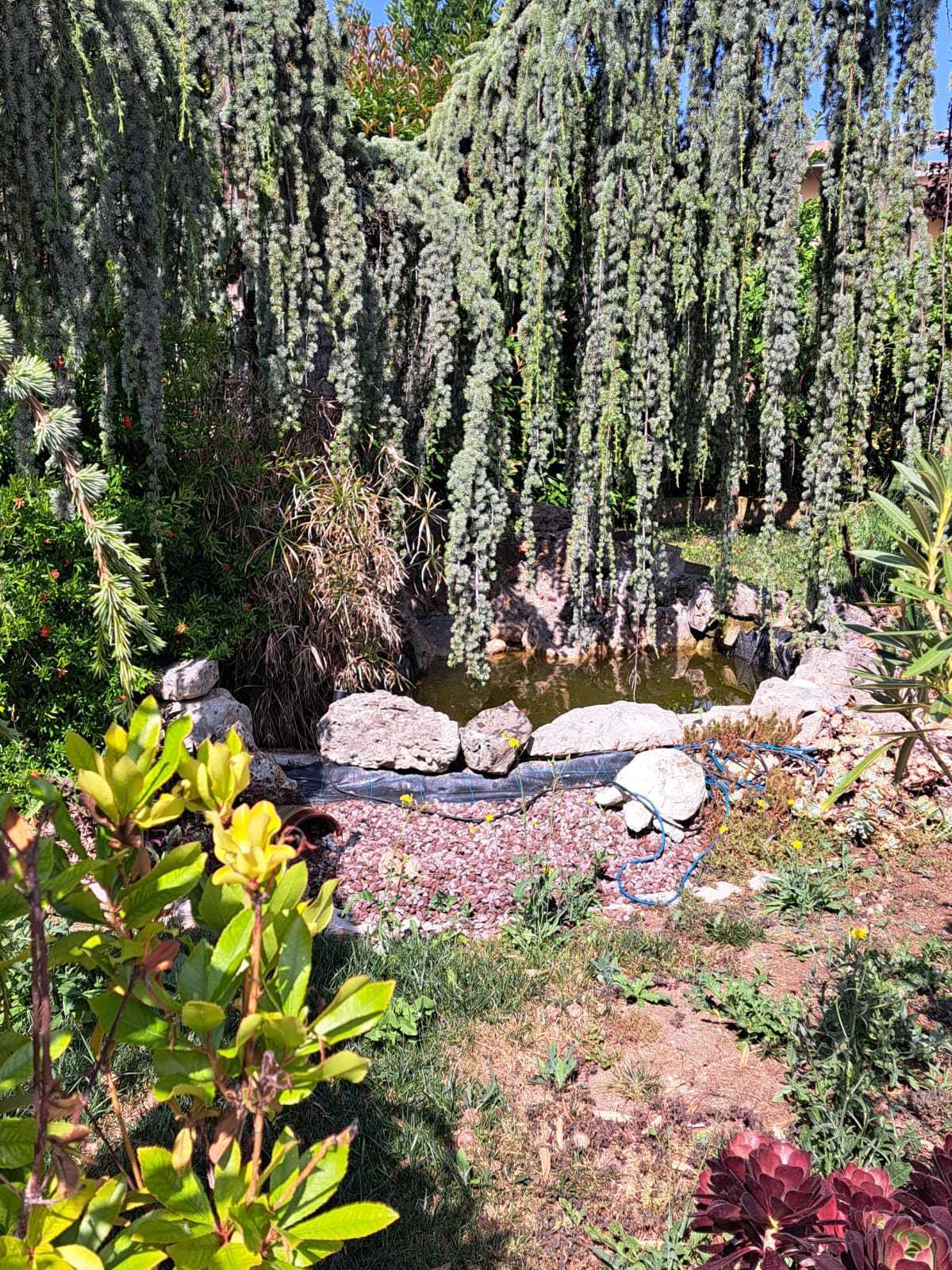 Foto annuncio 11