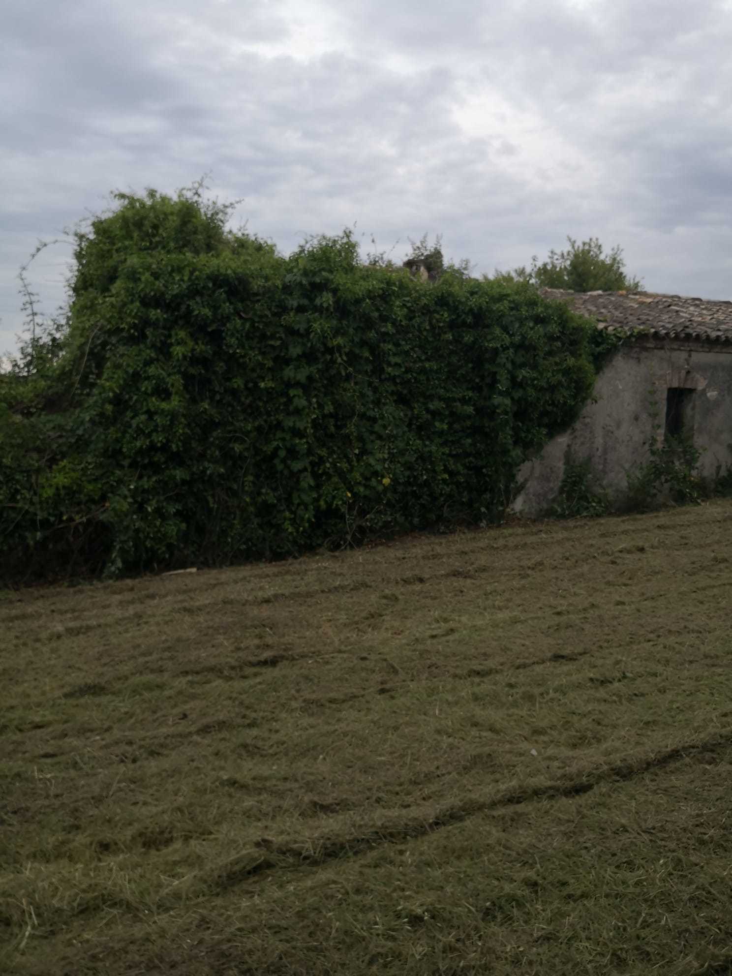 Foto annuncio 15