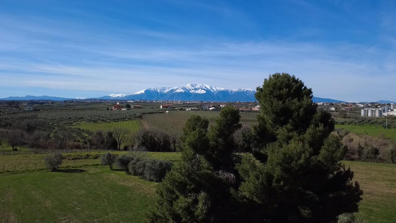 Foto annuncio 32