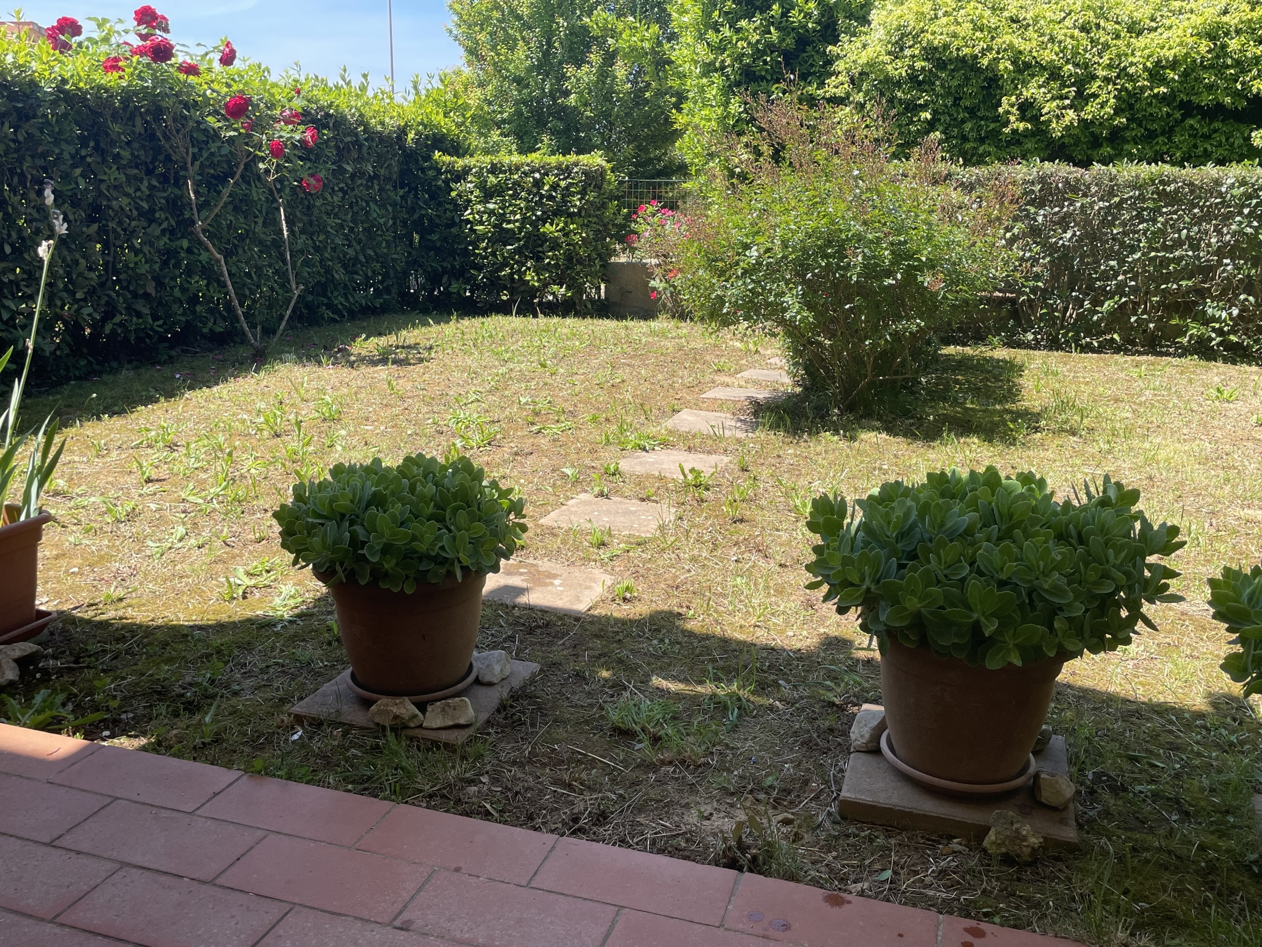 Immagine 10 di Bilocale in vendita  a Guardistallo