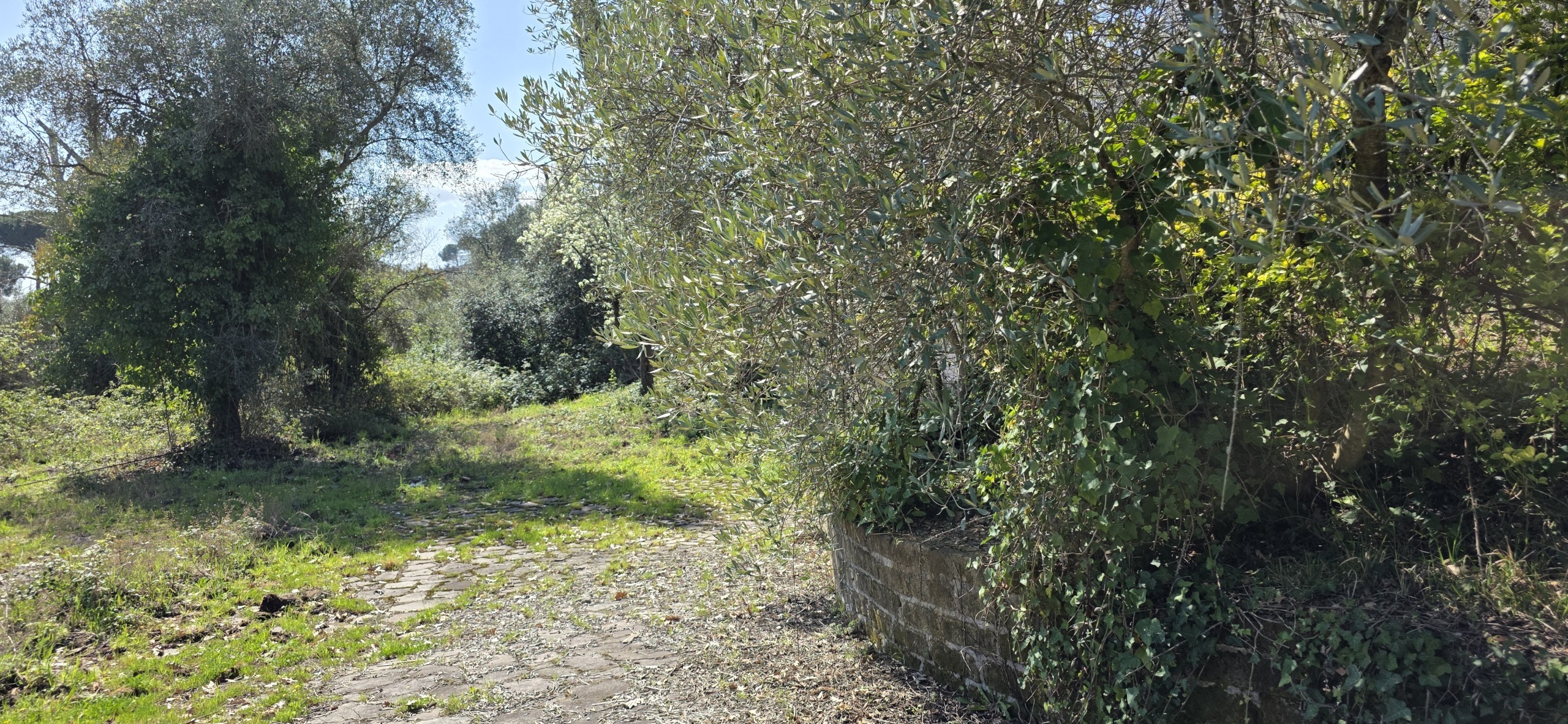 Foto annuncio 15