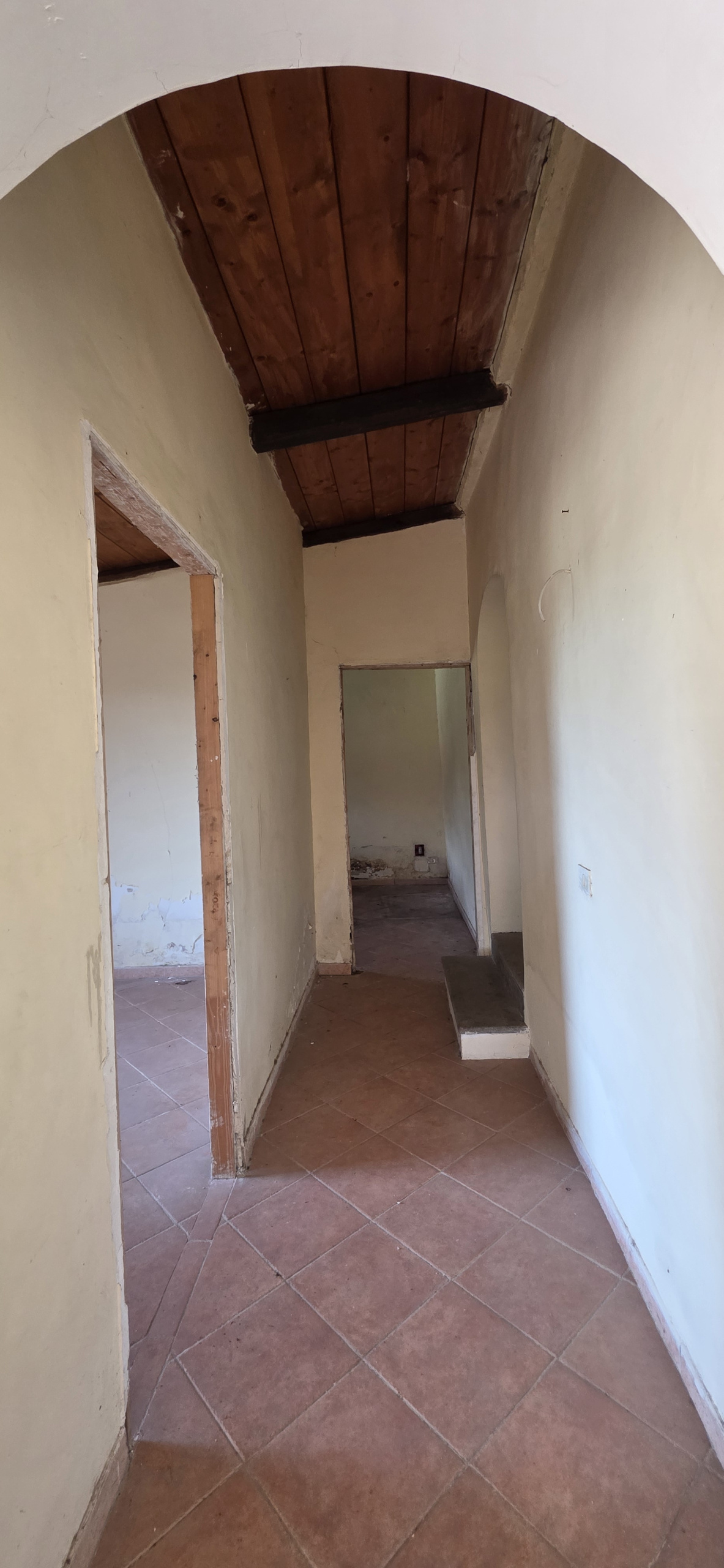 Foto annuncio 25