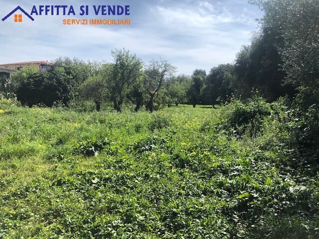 Immagine 8 di Rustico / casale in vendita  in isola a Siracusa