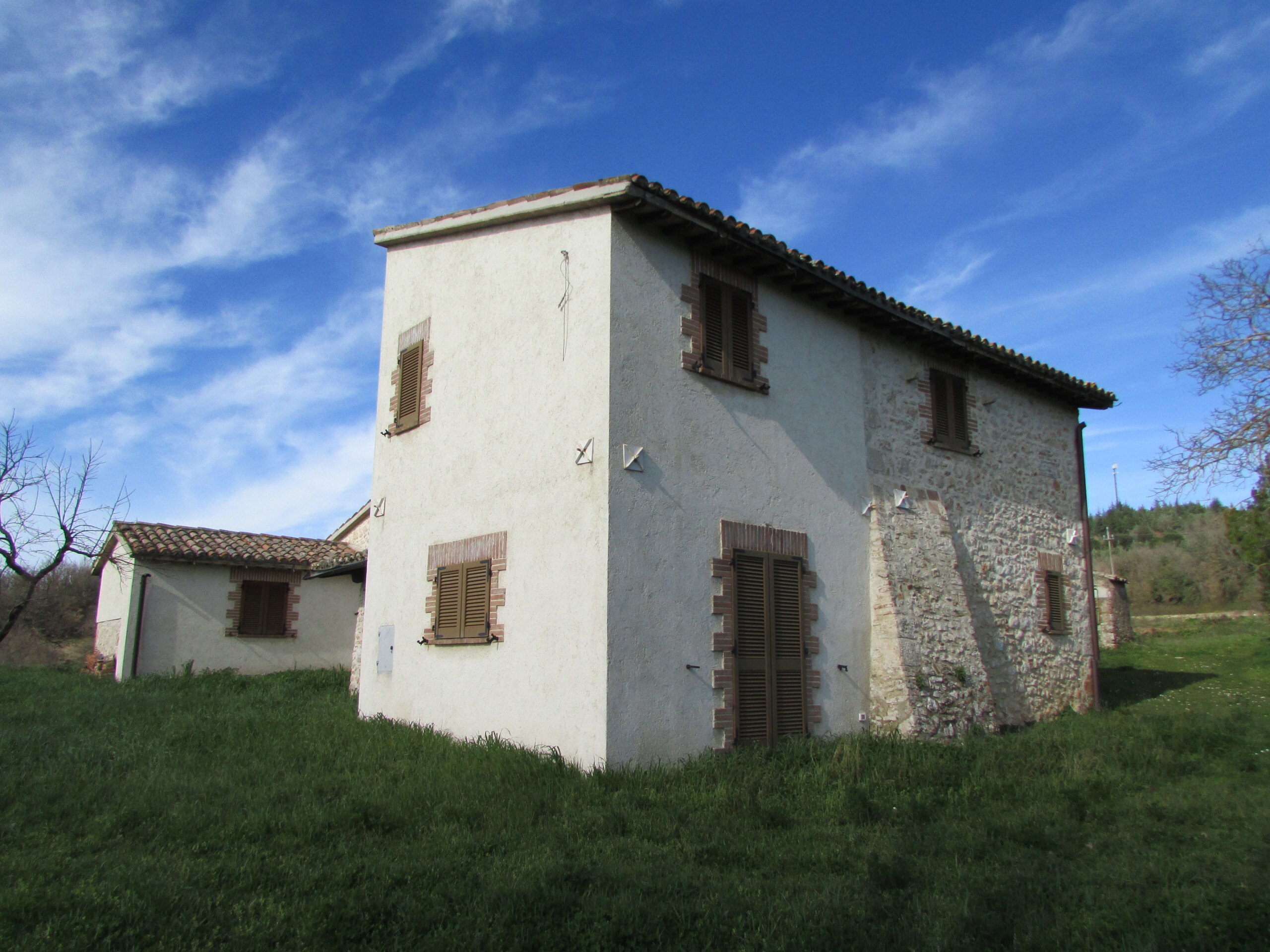 Foto annuncio 4