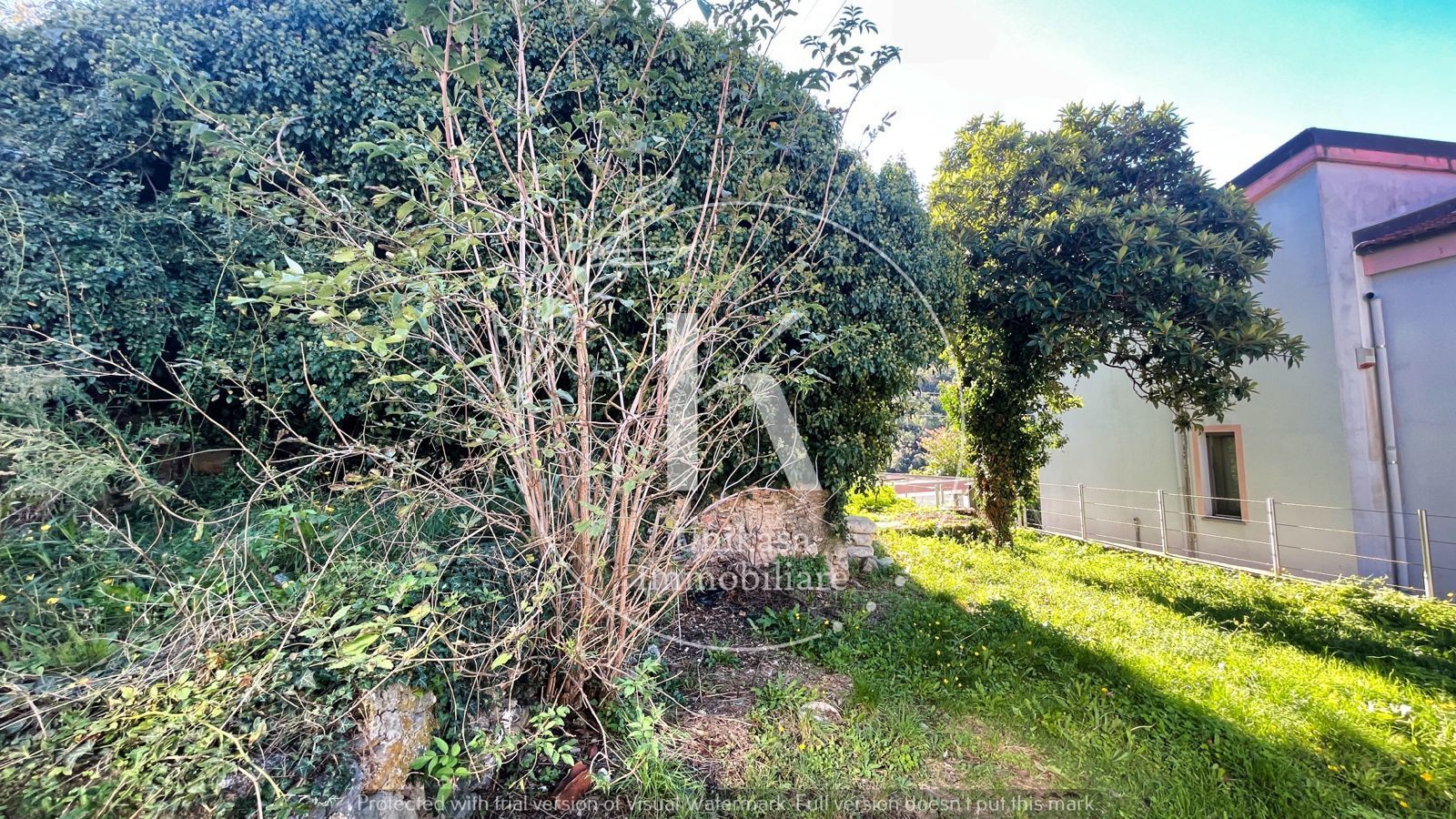 Foto annuncio 10