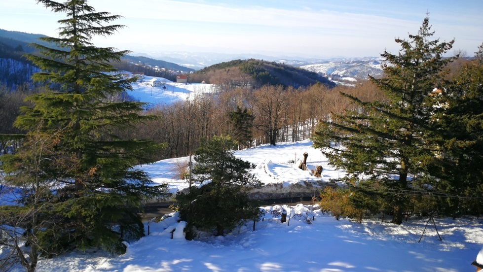 Foto annuncio 7
